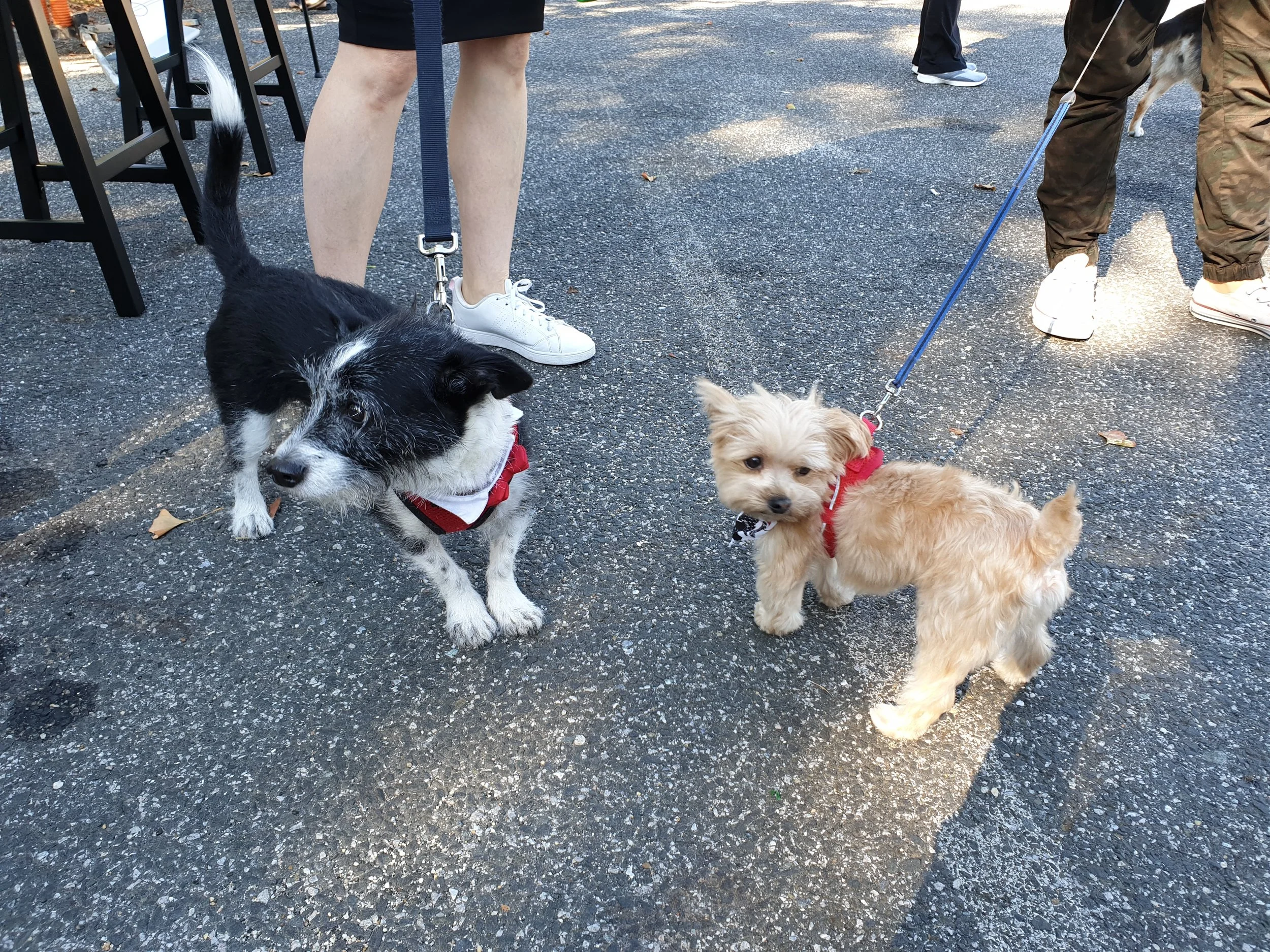20180929_101148.jpg