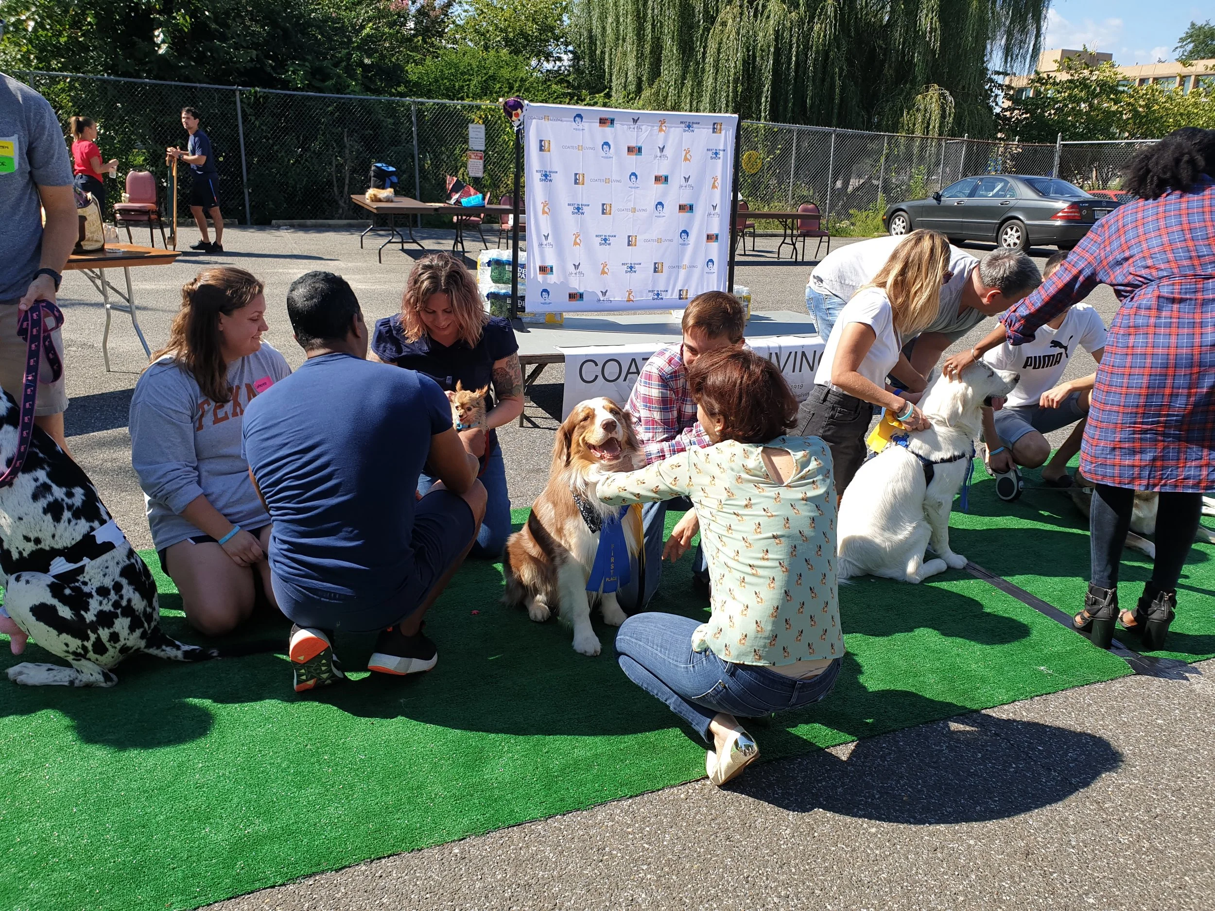 20180929_141439.jpg