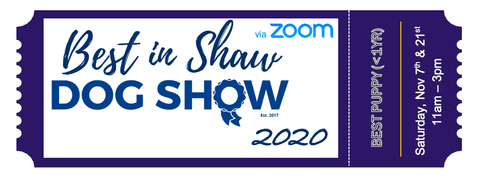 Screen Shot 2020-10-10 at 10.23.38 PM.png