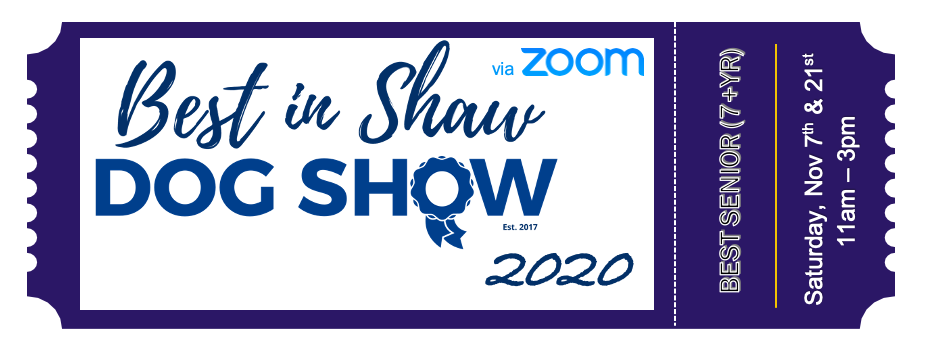 Screen Shot 2020-10-10 at 10.29.19 PM.png