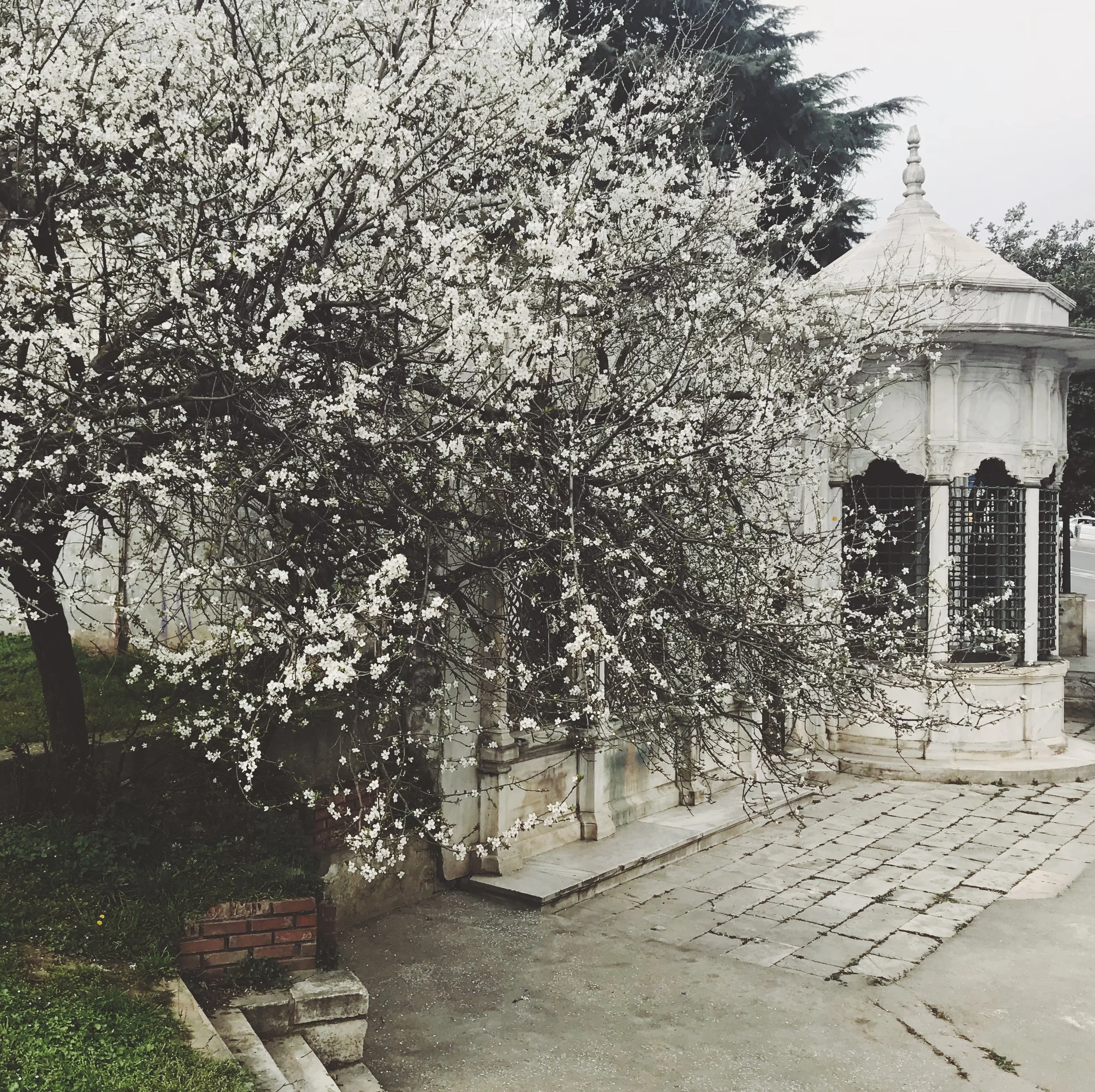 JAC Journey: Pause + Pivot