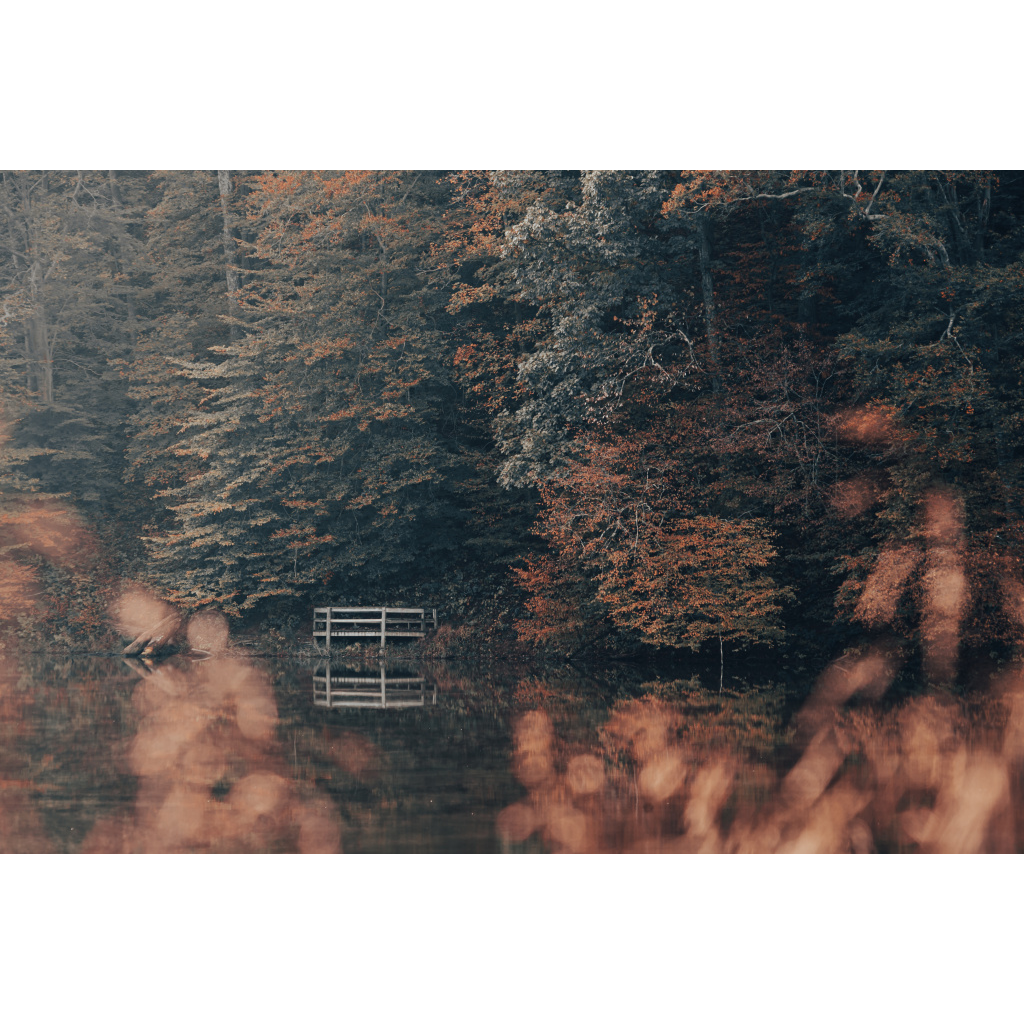 Autumn Melting - Critical Visuals