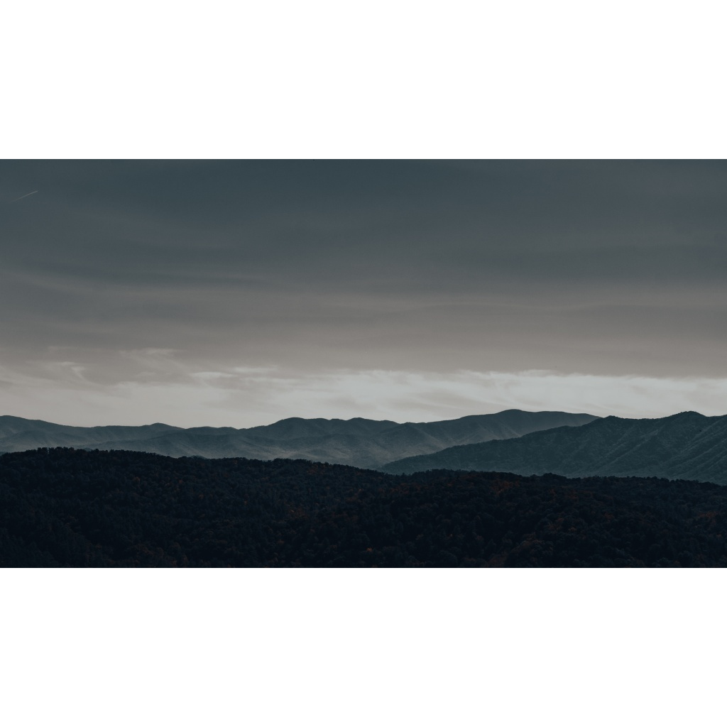 A Stark Reminder - Critical Visuals