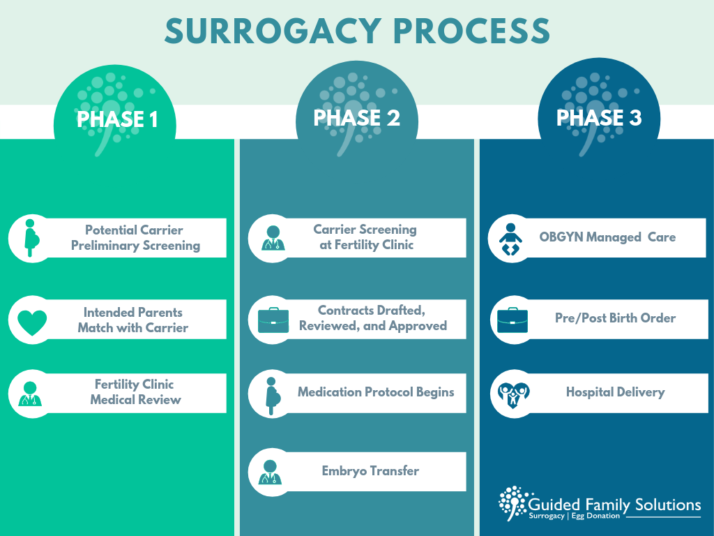 Surrogacy Process.png