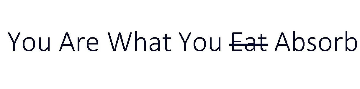 You Are What You Eat Absorb.jpg