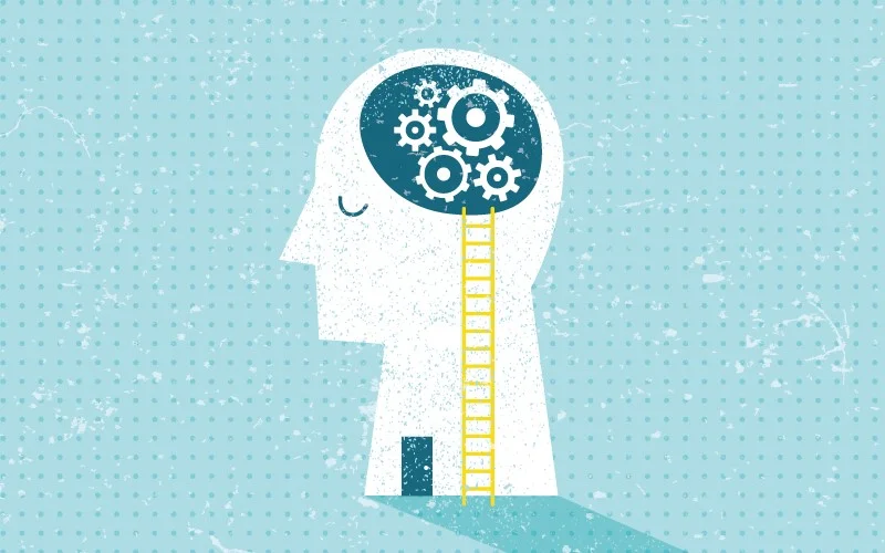 brain2.jpg