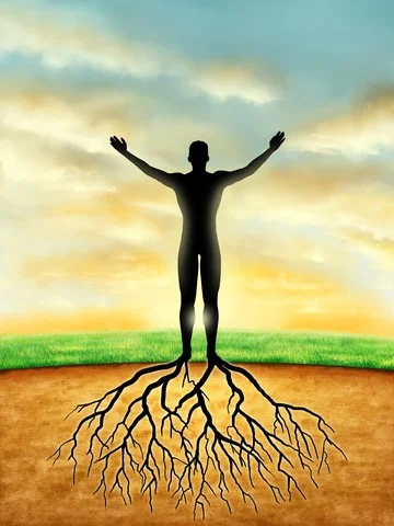 manroots.jpg