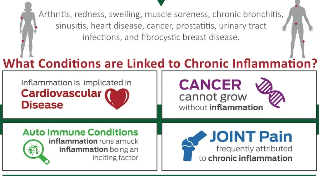 chronic inflammation.jpg