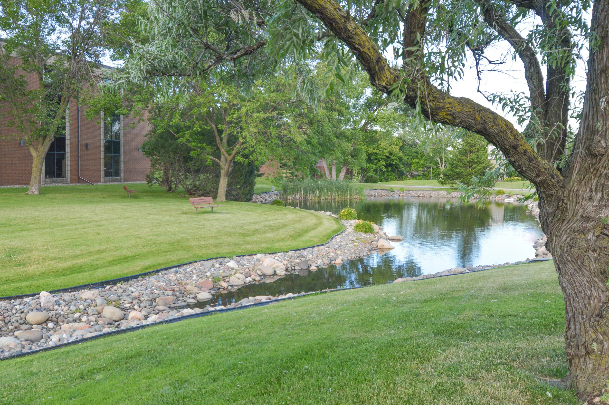 Pond.jpg