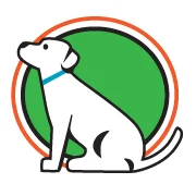 New Puppy Consultation