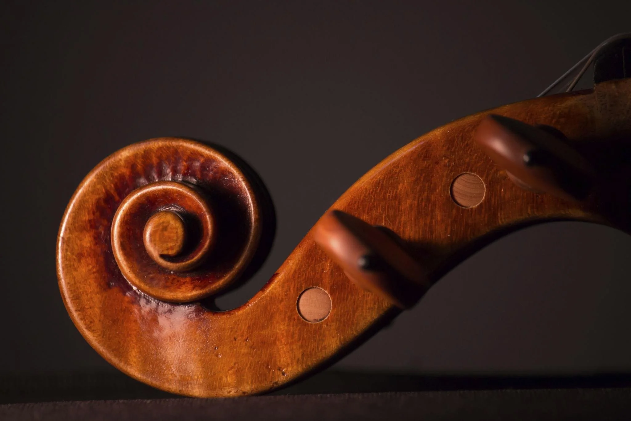 violin scroll.jpeg