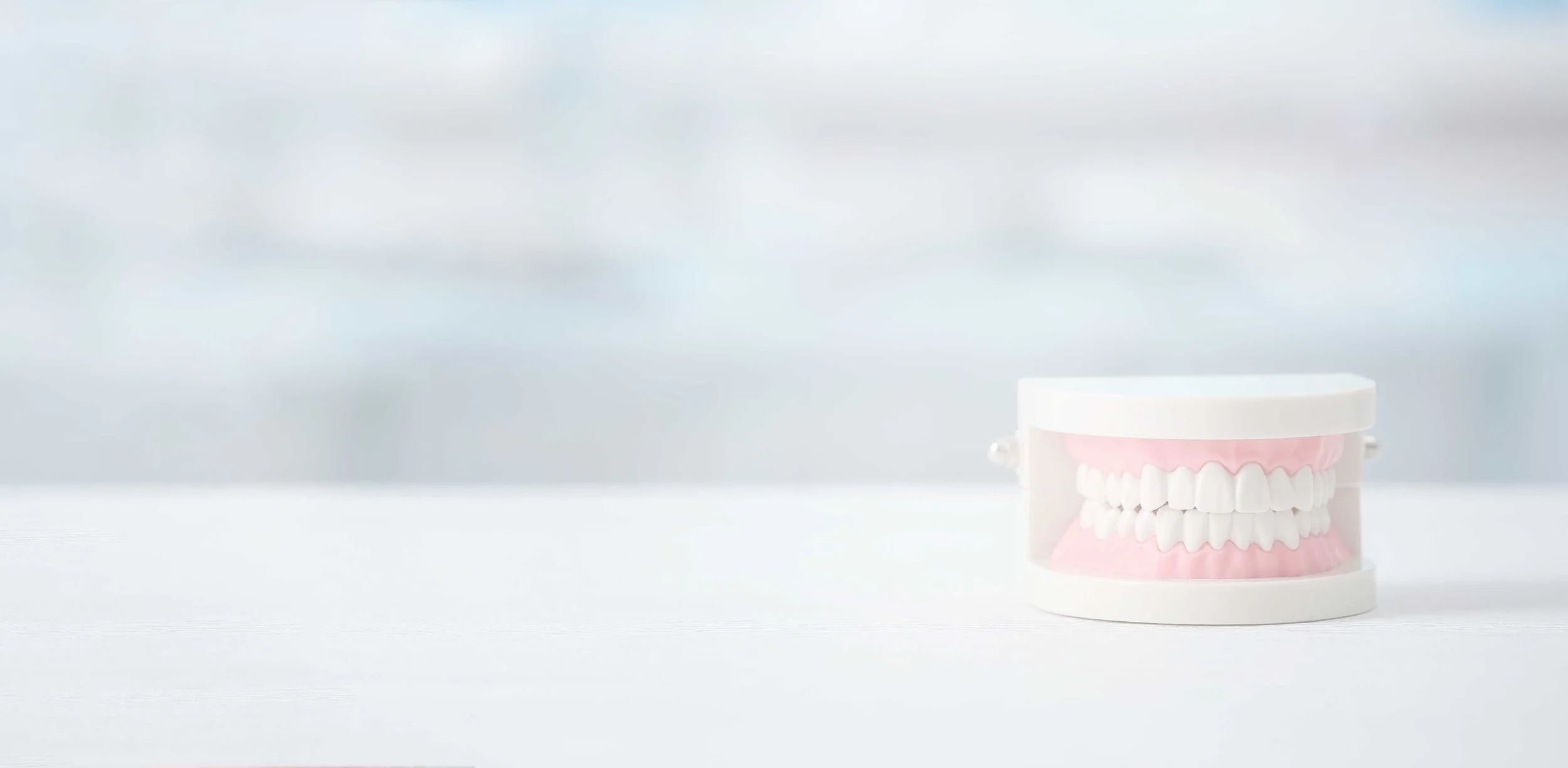 PFDH_AS-TeethModel_WideFormat_136904050.jpg