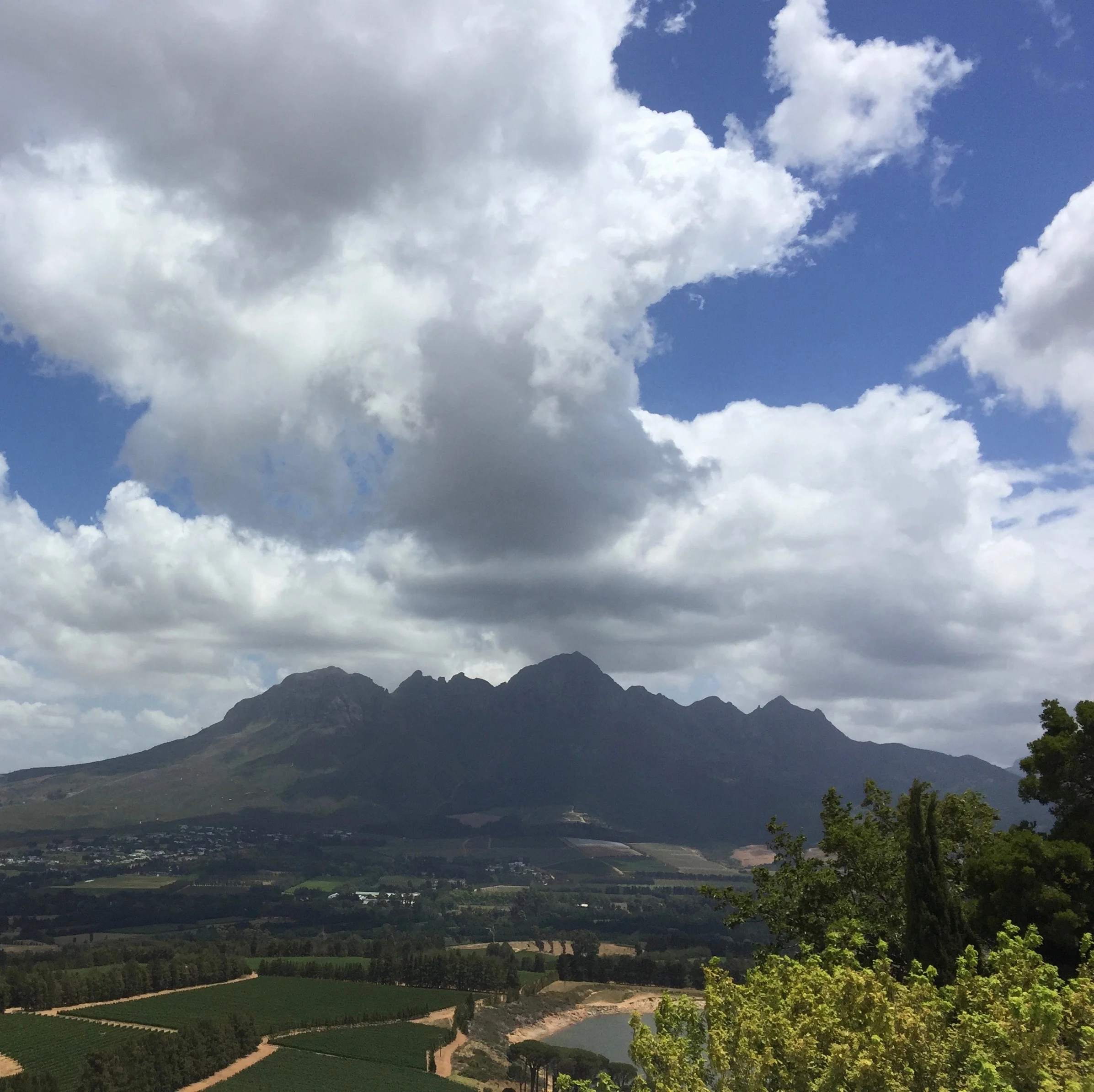 view from Vergelegen of one of Stellenbosch's many mountains