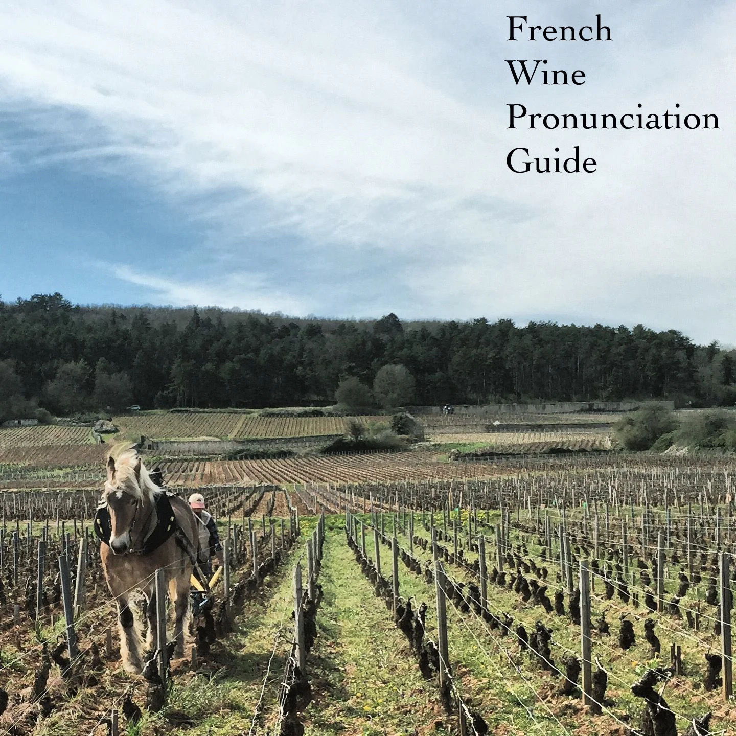 French Wine Pronunciation Guide
