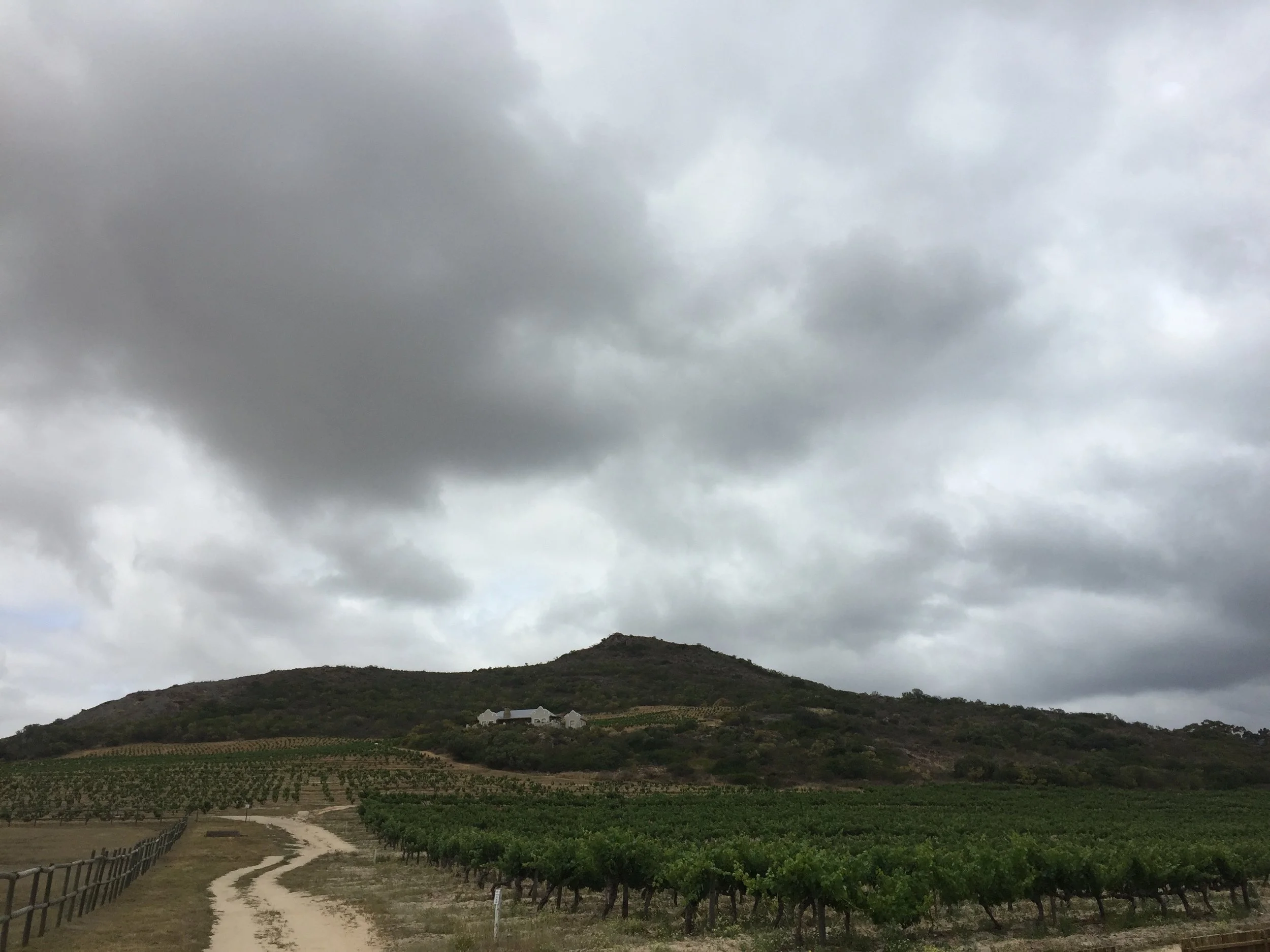 david-and-nadia-swartland.jpg