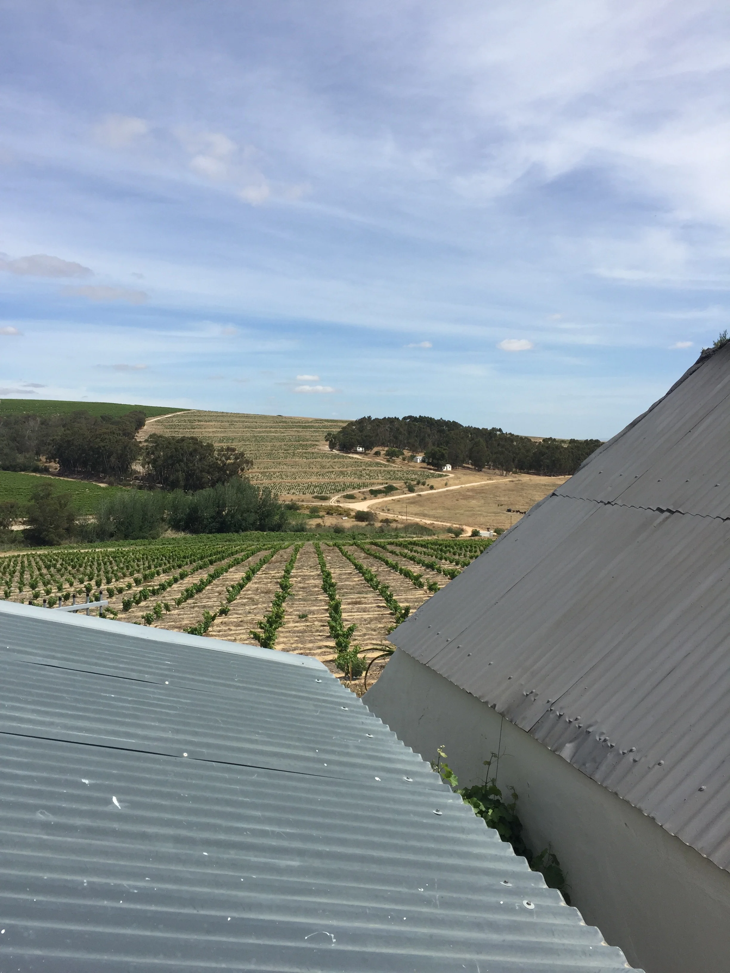 Sadie Family Wines