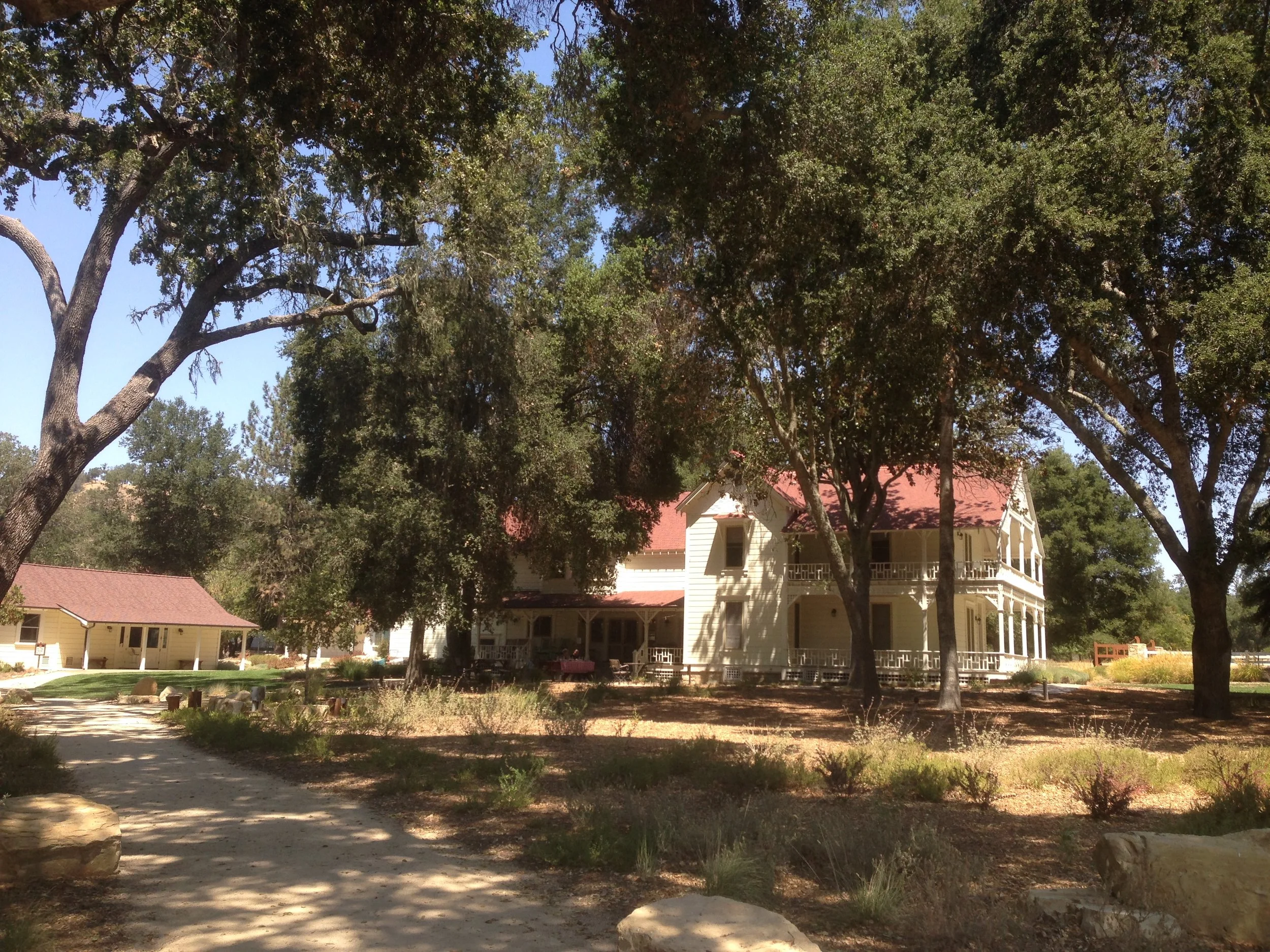 halter-ranch-arachnaphobia.jpg