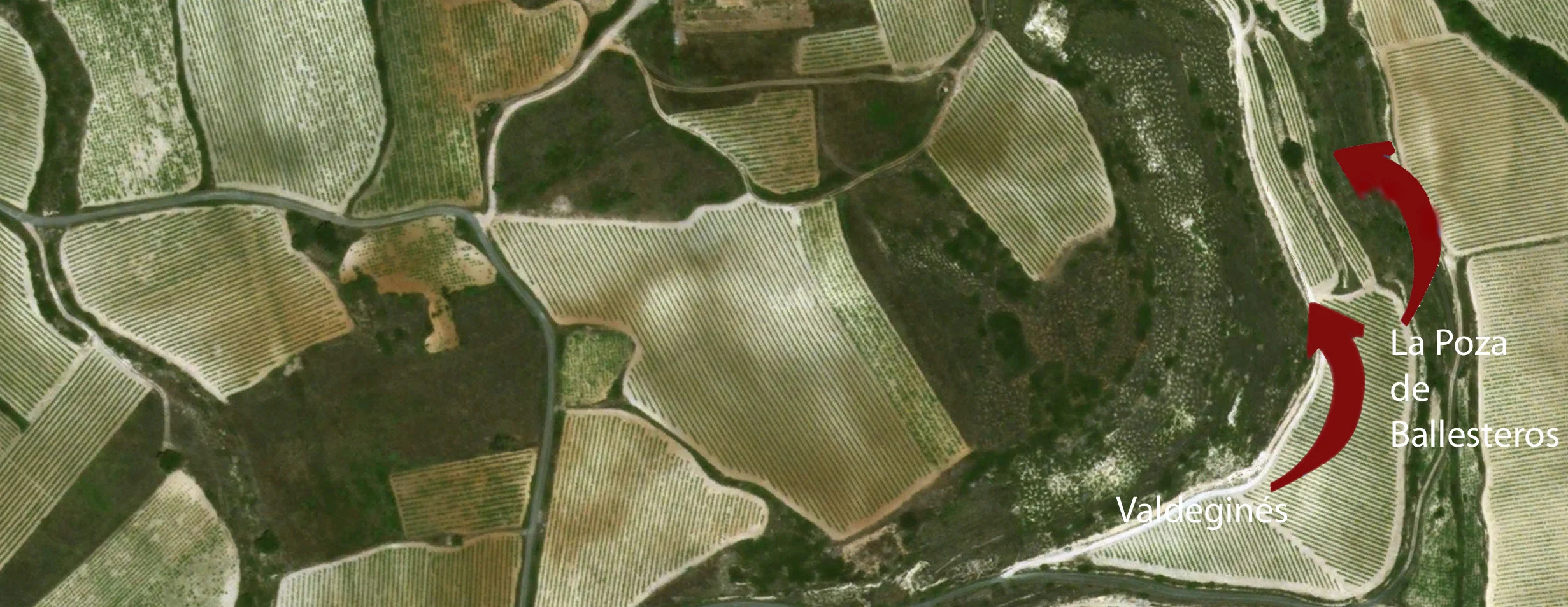Artadi-Vineyards.jpg