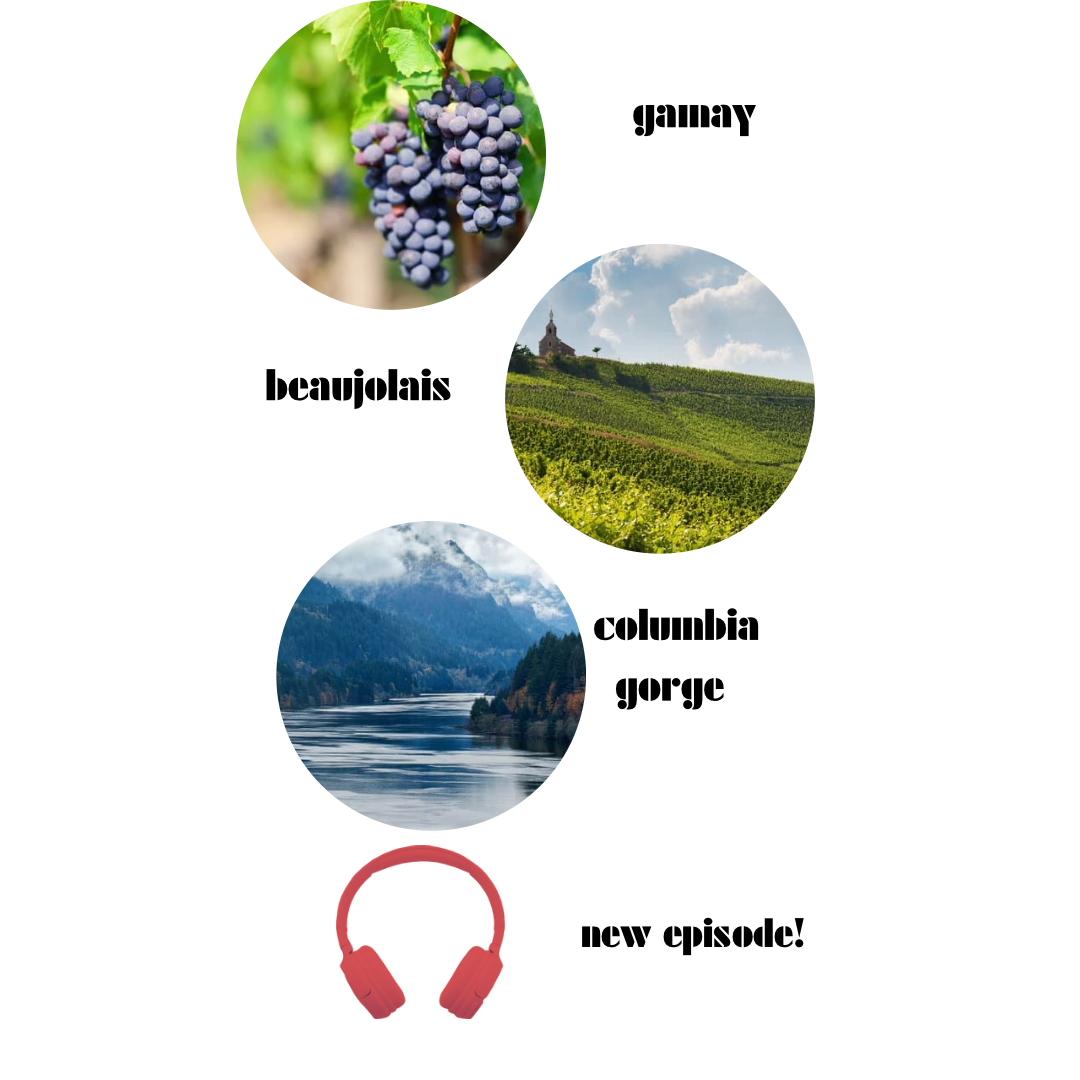 Gamay