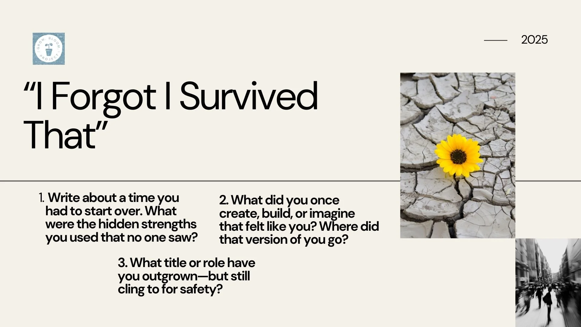 Ivory Minimal Services Guide Presentation.jpg