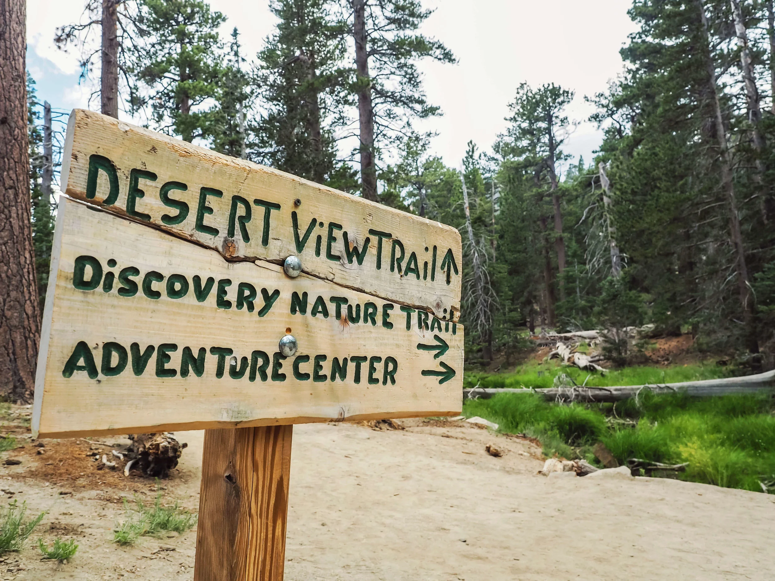 Take the Palm Springs Aerial Tramway up to Mount San Jacinto State Park, the best outdoor day trip for your Palm Springs vacation. Overlooking the Palm Springs, it sits on top of a nearby mountain and allows not only for great views and hiking, but an escape from the desert heat. #palmsprings #hiking #mountain
