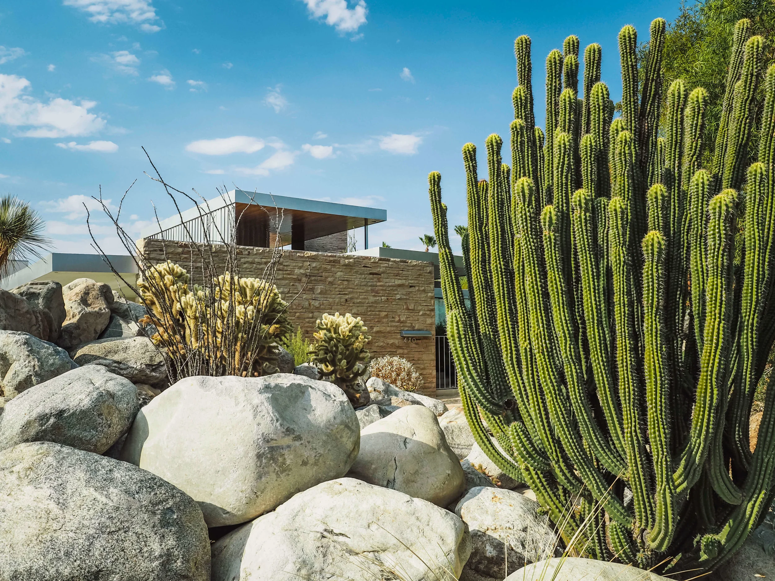 The bright colors and desert vibes of Palm Springs are perfect for a relaxing vacation. Learn more about where to stay and how to experience the city and have a blast despite the heat. #palmsprings #california #cityguide #travel