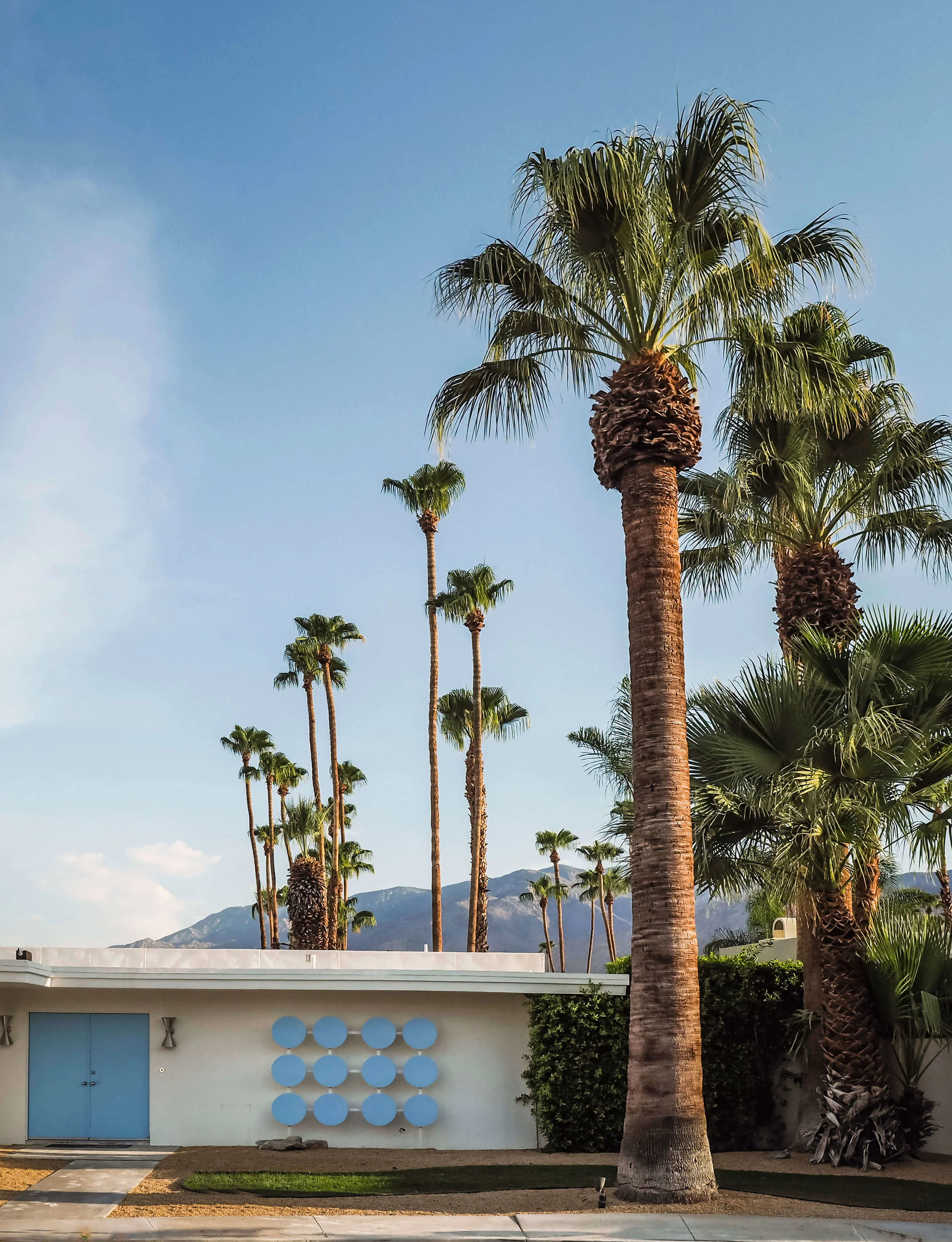 The bright colors and desert vibes of Palm Springs are perfect for a relaxing vacation. Learn more about where to stay and how to experience the city and have a blast despite the heat. #palmsprings #california #cityguide #travel