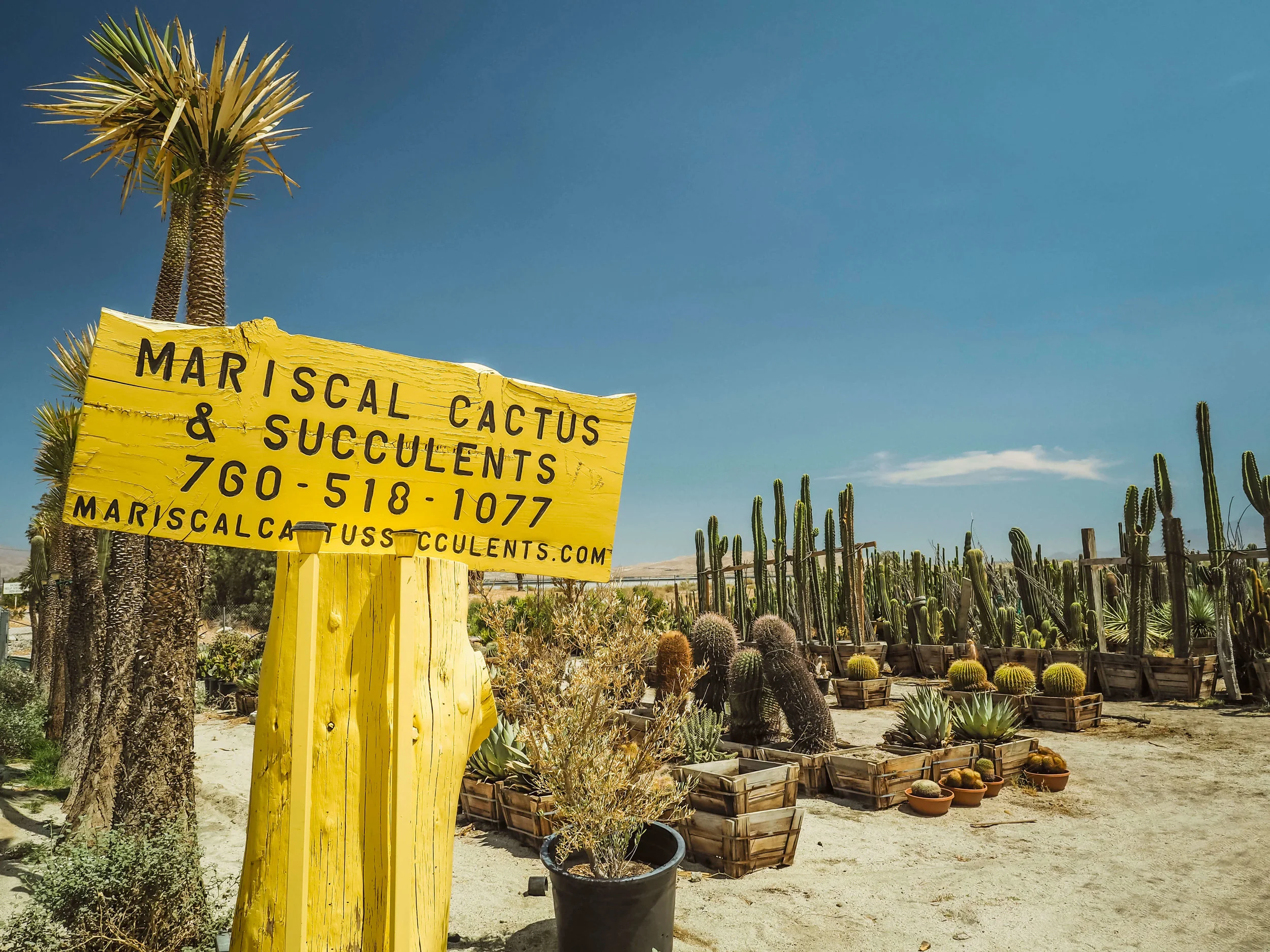 The bright colors and desert vibes of Palm Springs are perfect for a relaxing vacation. Learn more about where to stay and how to experience the city and have a blast despite the heat. #palmsprings #california #cityguide #travel