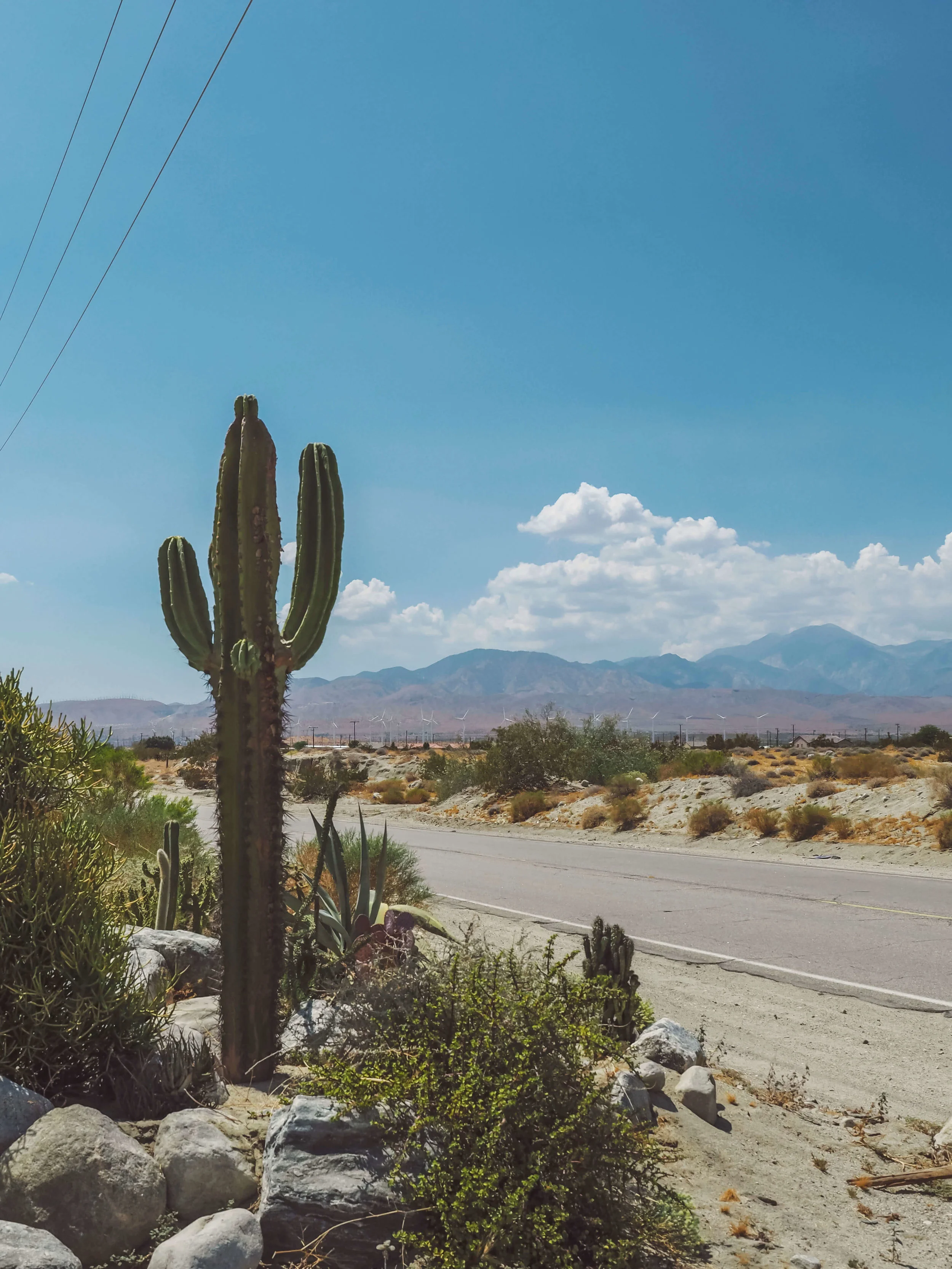 The bright colors and desert vibes of Palm Springs are perfect for a relaxing vacation. Learn more about where to stay and how to experience the city and have a blast despite the heat. #palmsprings #california #cityguide #travel