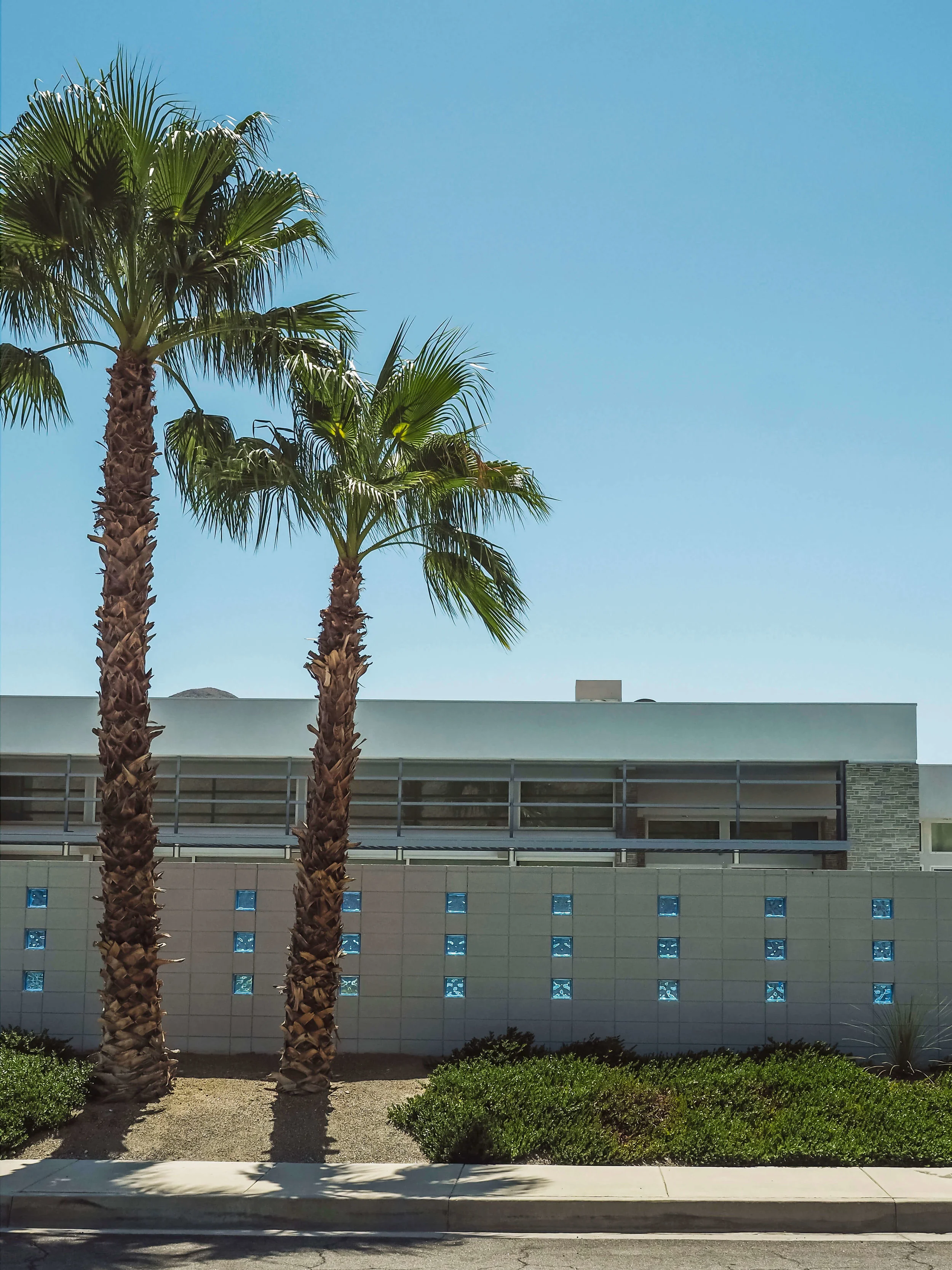 The bright colors and desert vibes of Palm Springs are perfect for a relaxing vacation. Learn more about where to stay and how to experience the city and have a blast despite the heat. #palmsprings #california #cityguide #travel