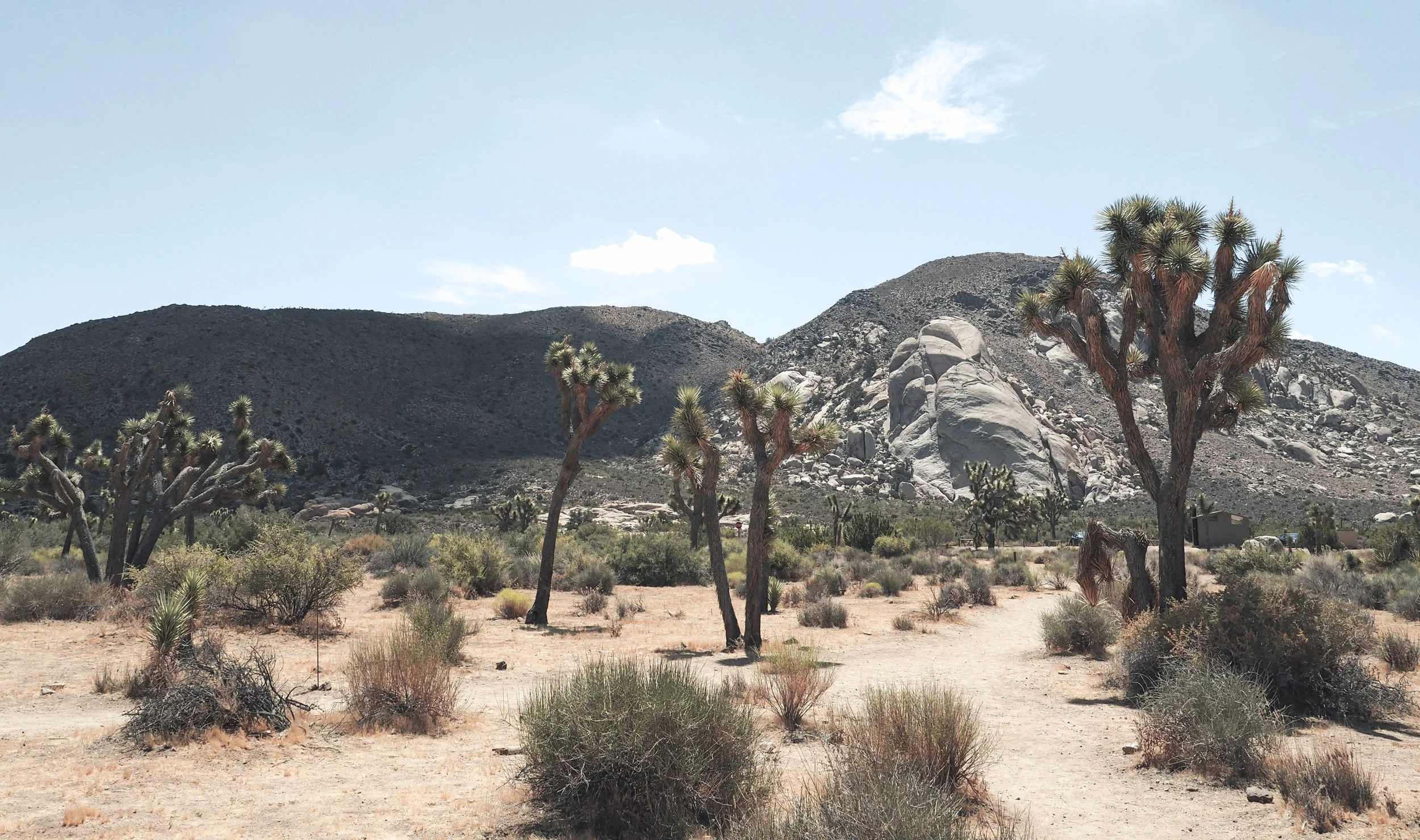 Joshua Tree National Park is an other-worldy area of desert in California. With stunning rock formations and unique trees and plants, it's filled with amazing hiking trails and scenic views. #nationalpark #joshuatree #california #hiking