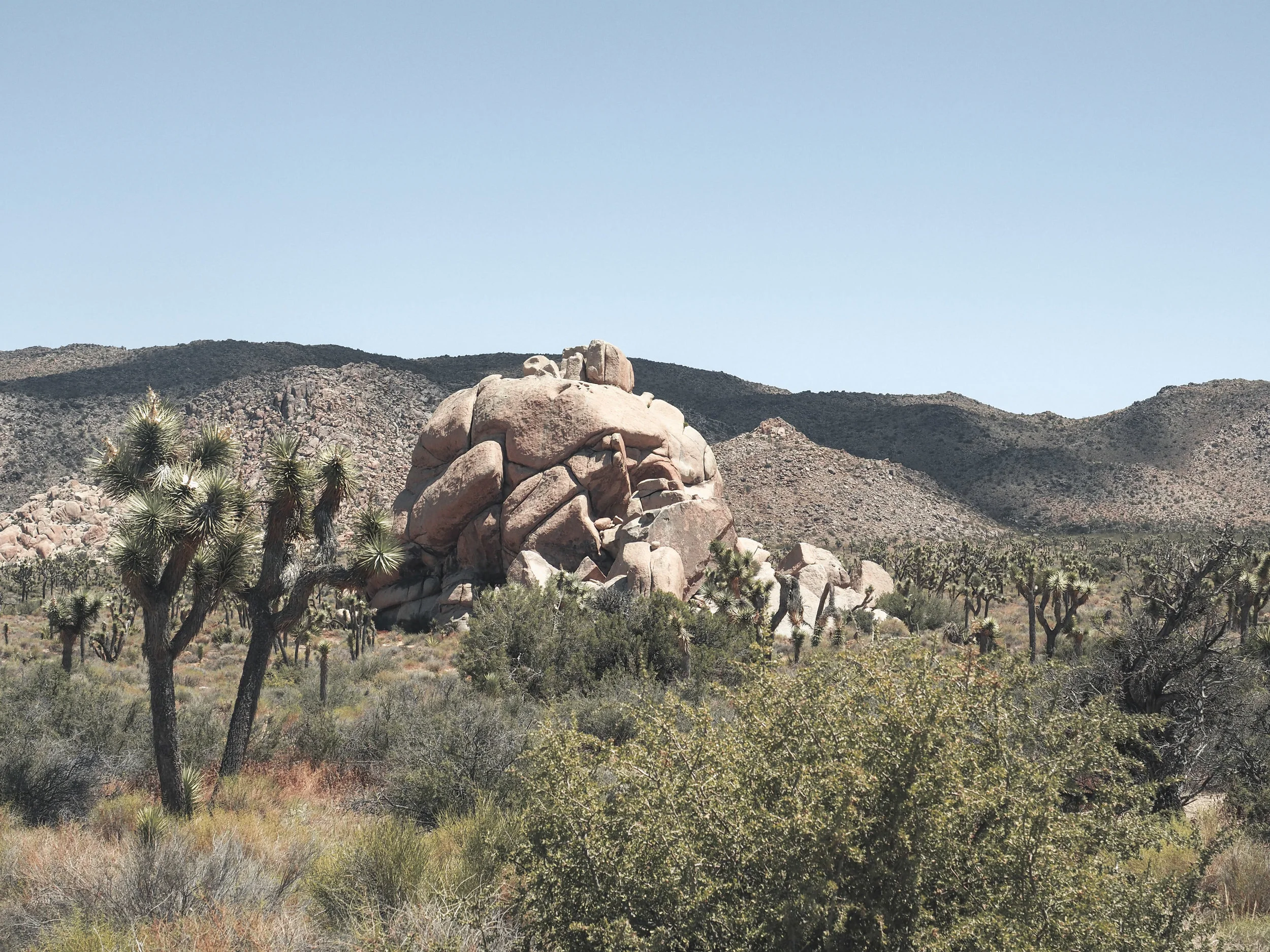 Joshua Tree National Park is an other-worldy area of desert in California. With stunning rock formations and unique trees and plants, it's filled with amazing hiking trails and scenic views. #nationalpark #joshuatree #california #hiking