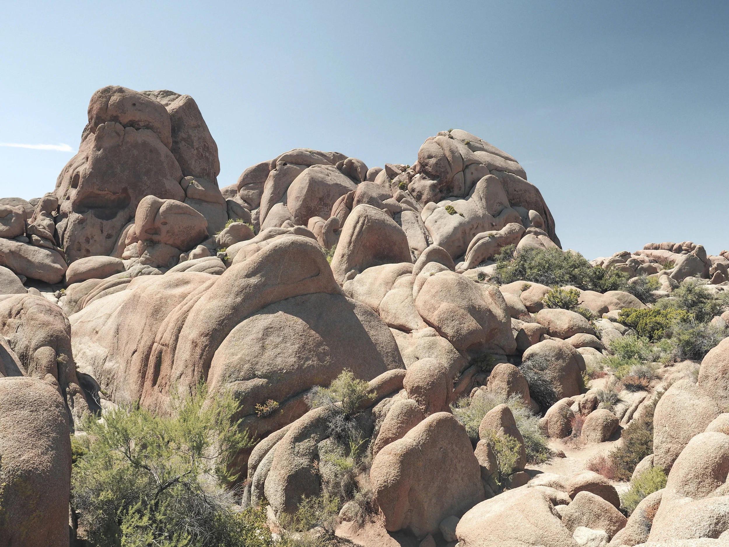Joshua Tree National Park is an other-worldy area of desert in California. With stunning rock formations and unique trees and plants, it's filled with amazing hiking trails and scenic views. #nationalpark #joshuatree #california #hiking