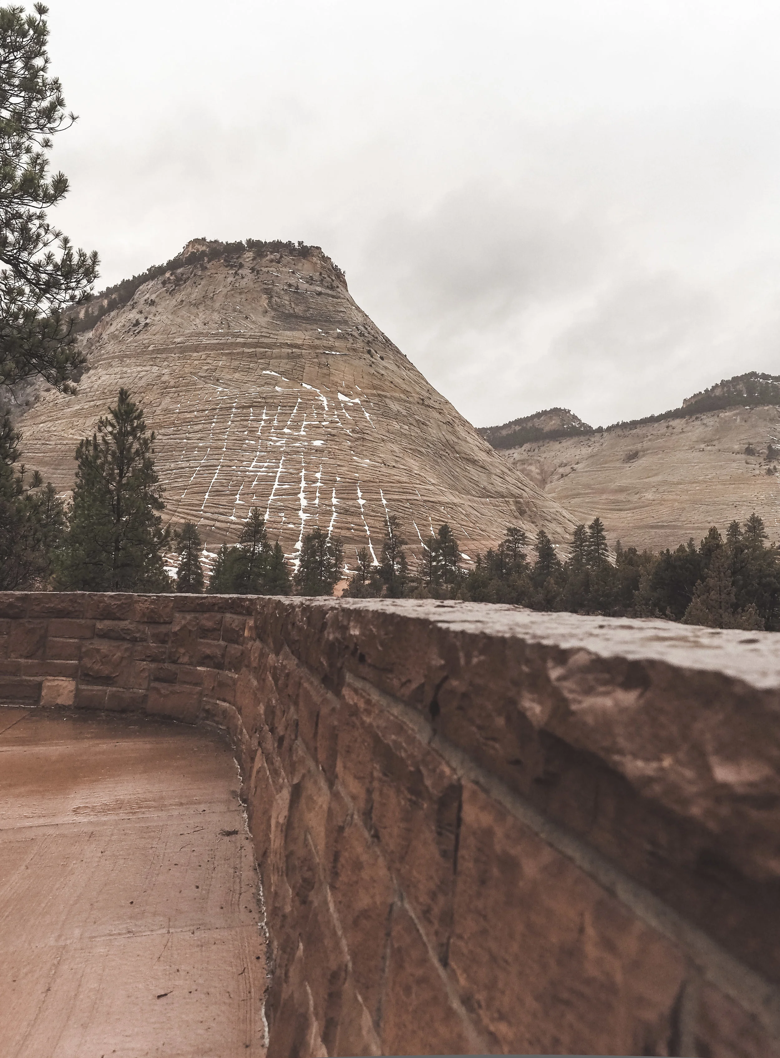 Zion National Park is one of the most popular stops in Utah. Hiking within a canyon means you have amazing views no matter where you are. Learn more about the best hikes and the most amazing scenic drive that first timers have to experience. #zionnationalpark #utah #hiking