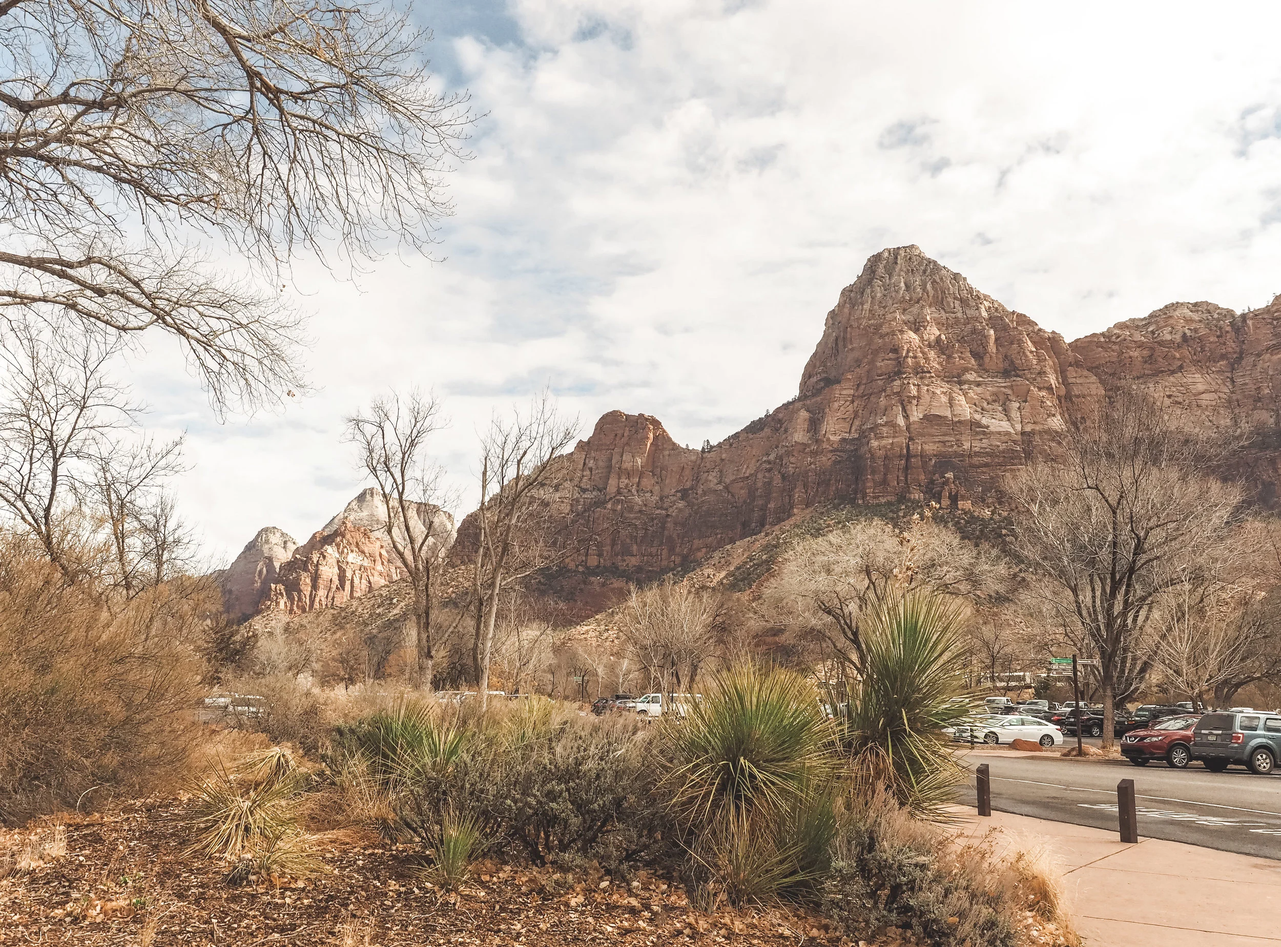 Zion National Park is one of the most popular stops in Utah. Hiking within a canyon means you have amazing views no matter where you are. Learn more about the best hikes and the most amazing scenic drive that first timers have to experience. #zionnationalpark #utah #hiking