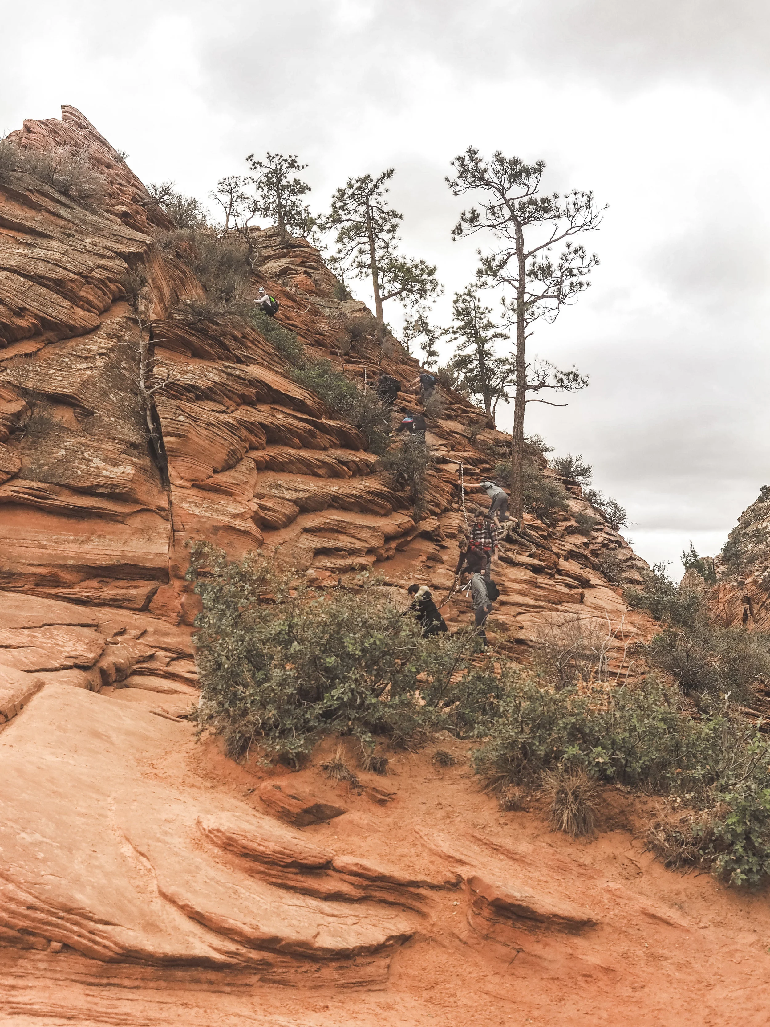Zion National Park is one of the most popular stops in Utah. Hiking within a canyon means you have amazing views no matter where you are. Learn more about the best hikes and the most amazing scenic drive that first timers have to experience. #zionnationalpark #utah #hiking