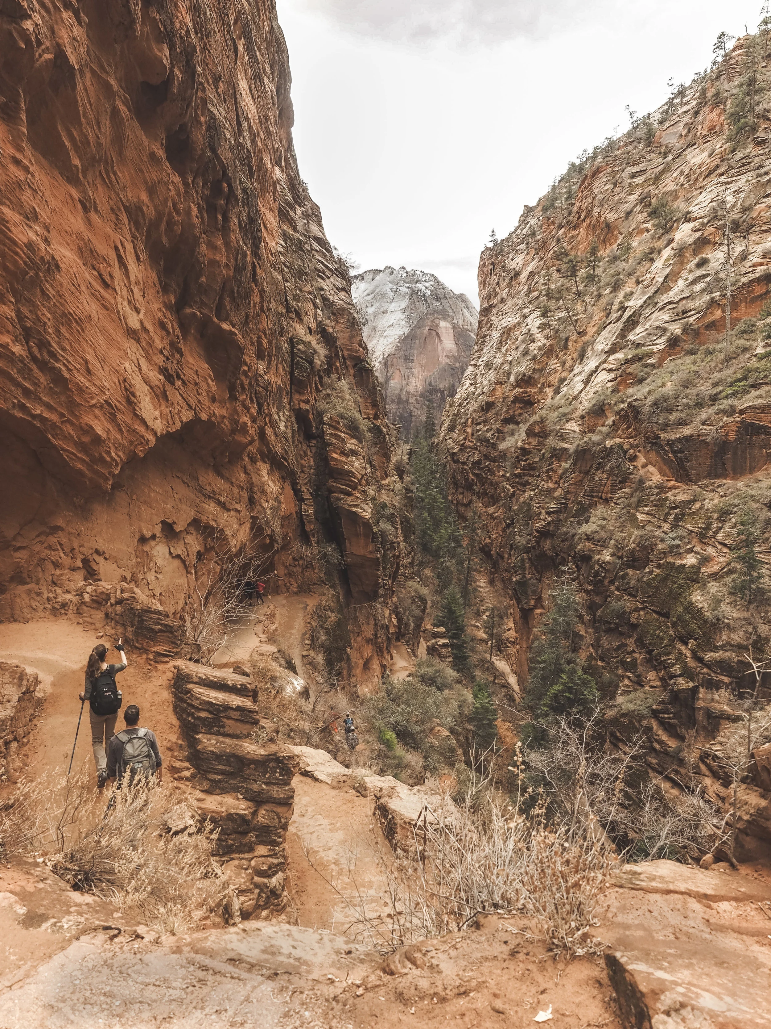 Zion National Park is one of the most popular stops in Utah. Hiking within a canyon means you have amazing views no matter where you are. Learn more about the best hikes and the most amazing scenic drive that first timers have to experience. #zionnationalpark #utah #hiking