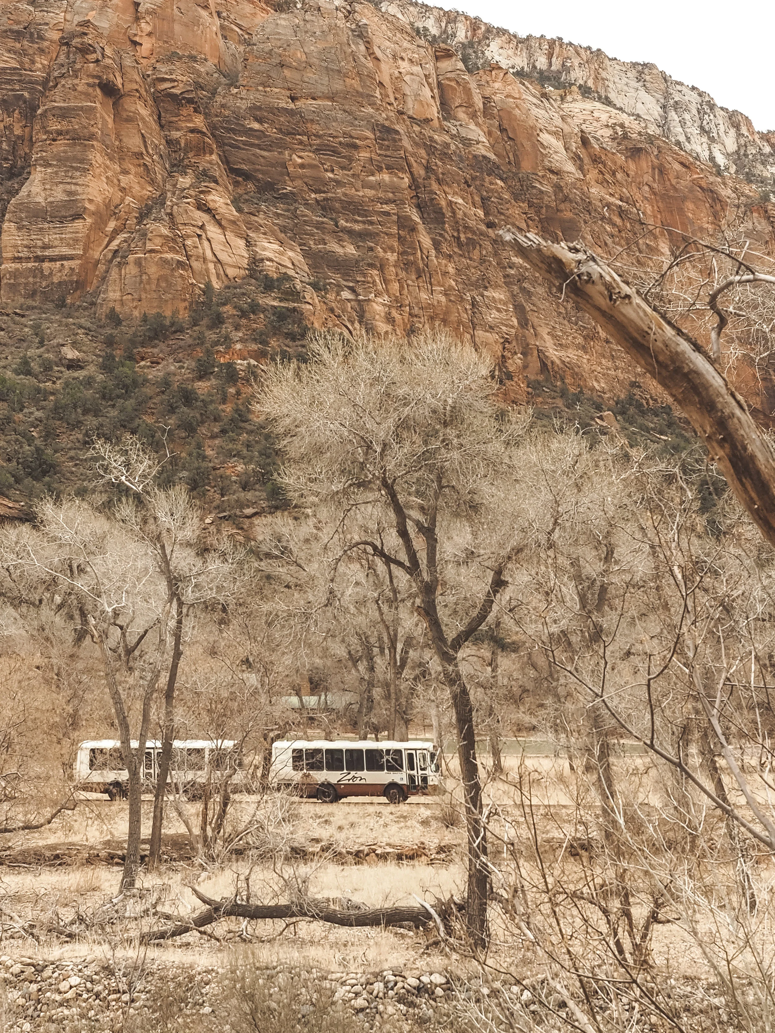 Zion National Park is one of the most popular stops in Utah. Hiking within a canyon means you have amazing views no matter where you are. Learn more about the best hikes and the most amazing scenic drive that first timers have to experience. #zionnationalpark #utah #hiking