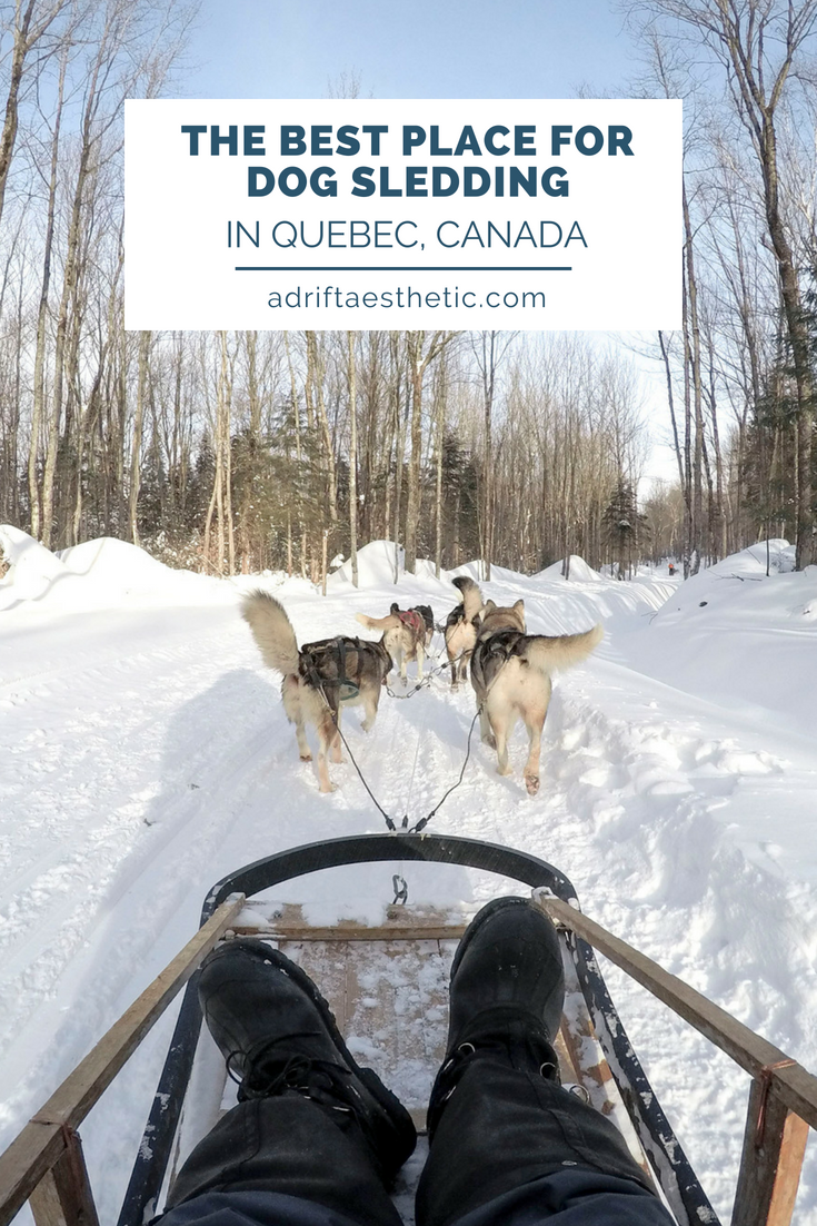 Enjoy the cold Canada winters by dog sledding near Quebec City! You'll get to see beautiful snowy landscapes and meet amazing pups on your adventure. Make sure you try out this amazing excursion during your next trip to Quebec! #dogsledding #winter #quebeccity #canadatravel