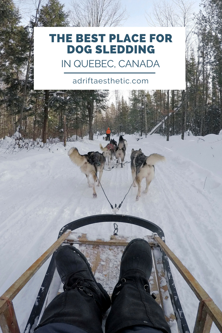 Enjoy the cold Canada winters by dog sledding near Quebec City! You'll get to see beautiful snowy landscapes and meet amazing pups on your adventure. Make sure you try out this amazing excursion during your next trip to Quebec! #dogsledding #winter #quebeccity #canadatravel