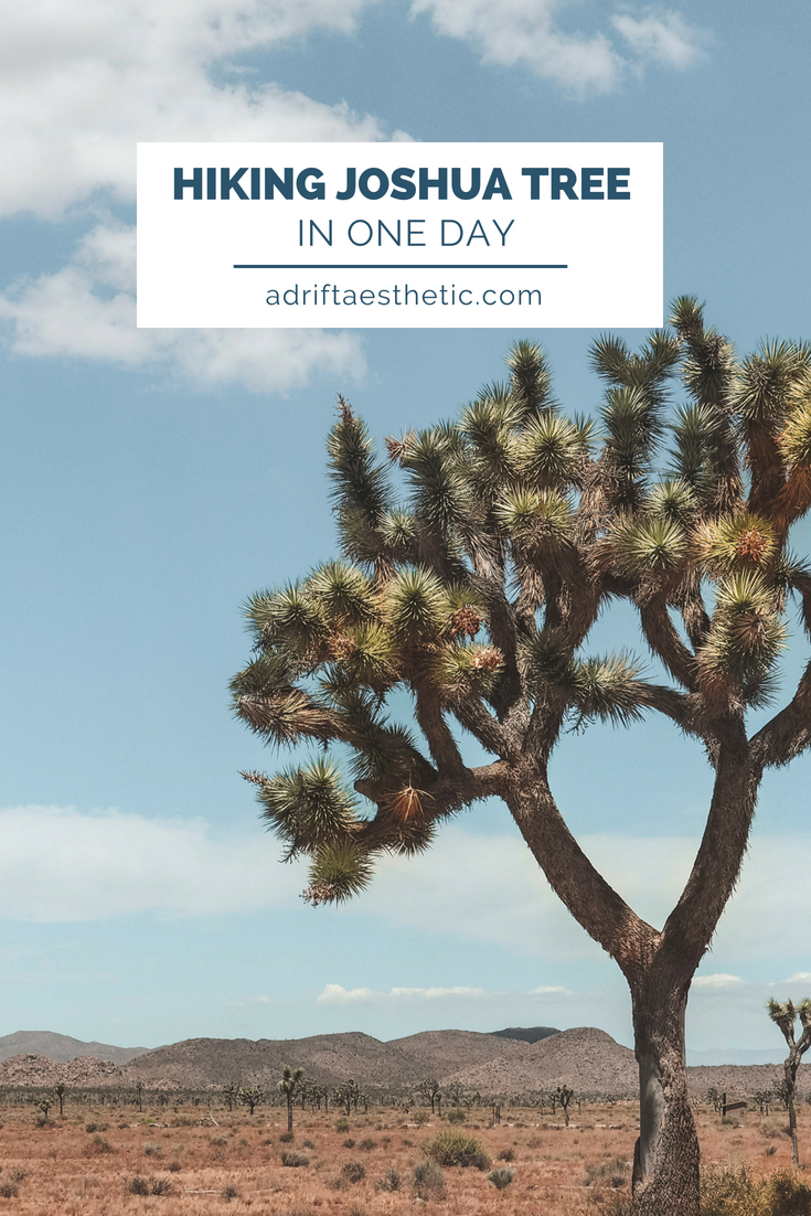 Joshua Tree National Park is an other-worldy area of desert in California. With stunning rock formations and unique trees and plants, it's filled with amazing hiking trails and scenic views. #nationalpark #joshuatree #california #hiking