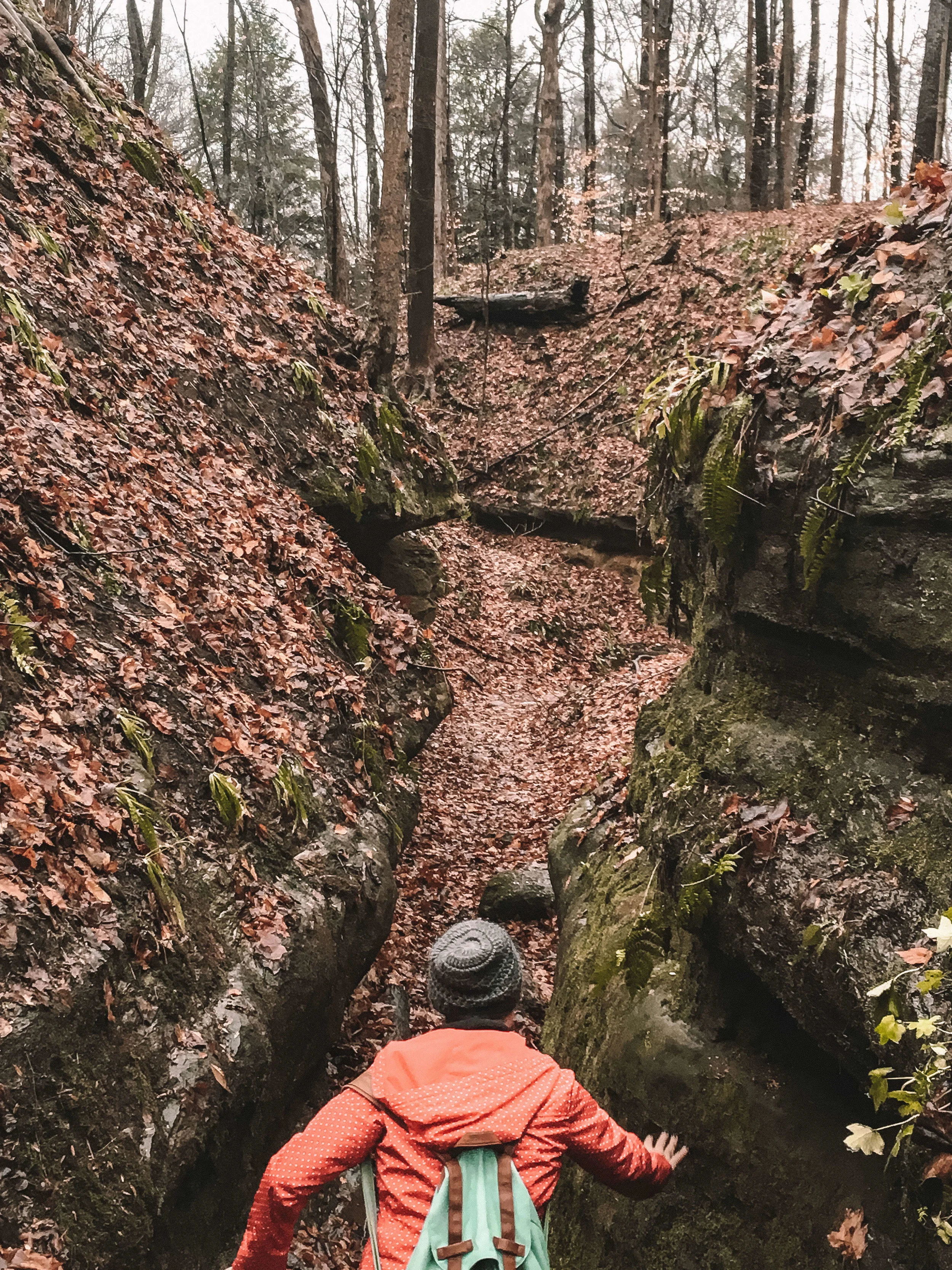 Turkey Run State Park The Best Hiking in Indiana — Adrift Aesthetic