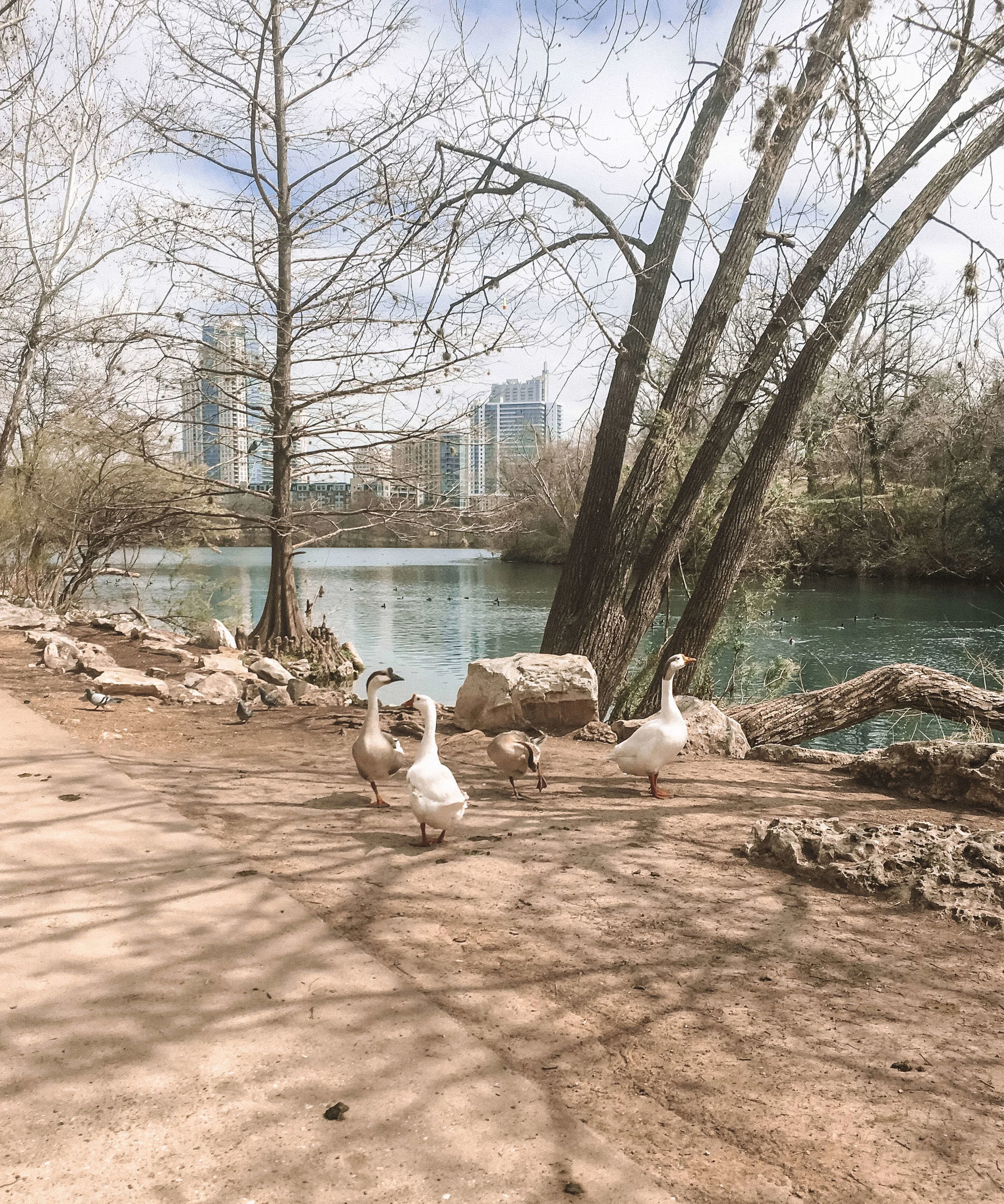 There’s a reason why people want to “Keep Austin Weird”. The city of Austin, Texas is an eclectic mix of art, food, culture and fun. Plus there are so many outdoor activities right within the city limits! Plan your trip with the 6 things you cannot miss in Austin! #austin #texas #travel #cityguide