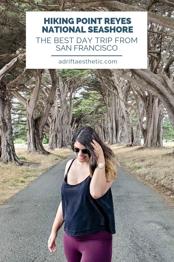 best hikes point reyes