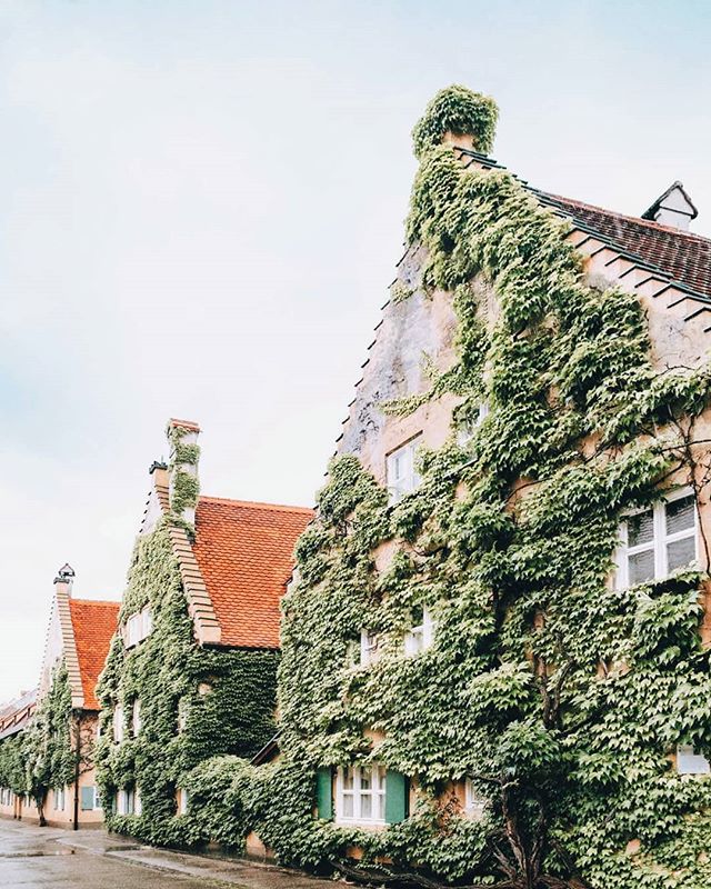 My third trip back to Europe in 8 months started in Bavaria. I had no idea what to expect when visiting Augsburg, Germany, a town 30 minutes outside of Munich. What I found was buildings covered with vines, color everywhere and a whole lot of rain (j