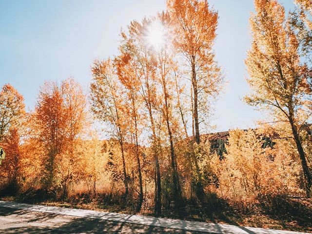 Here in Chicago, autumn didn't really happen this year...it kind of feels like we've shifted straight to winter lol. So instead of heading to nearby Michigan or Wisconsin to get our Fall fix, we hopped on a plane to Durango, Colorado to stay at the a