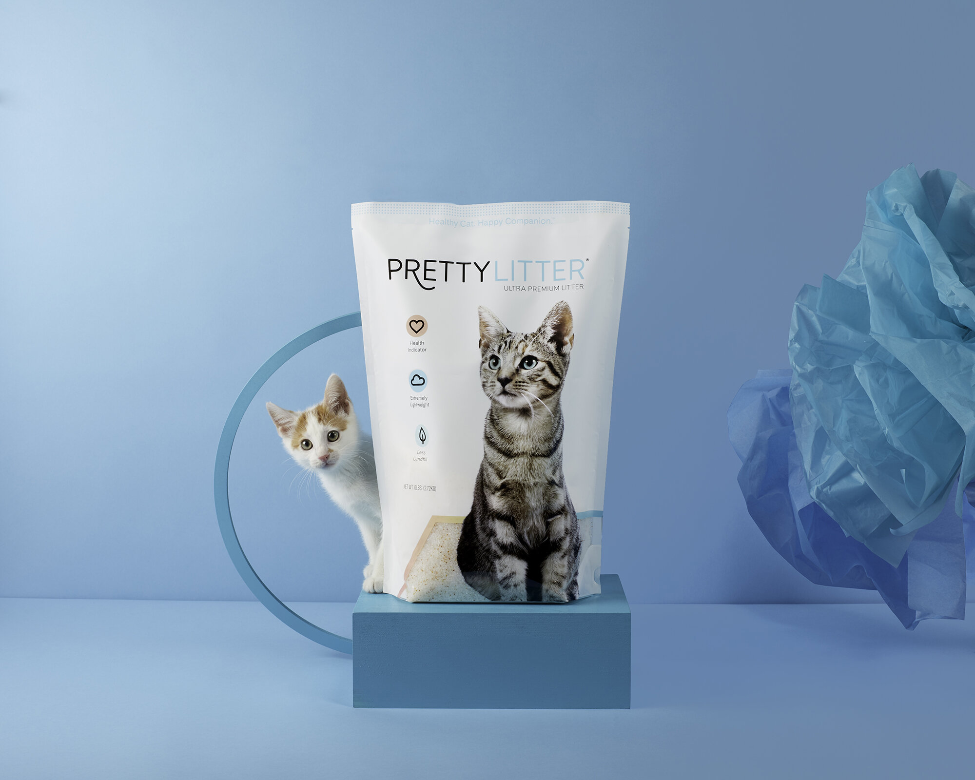 SOMANIFEST_PrettyLitter_6_201329_Fin_Subejct_Object_MANIFEST_Still_Life_Photography.jpg