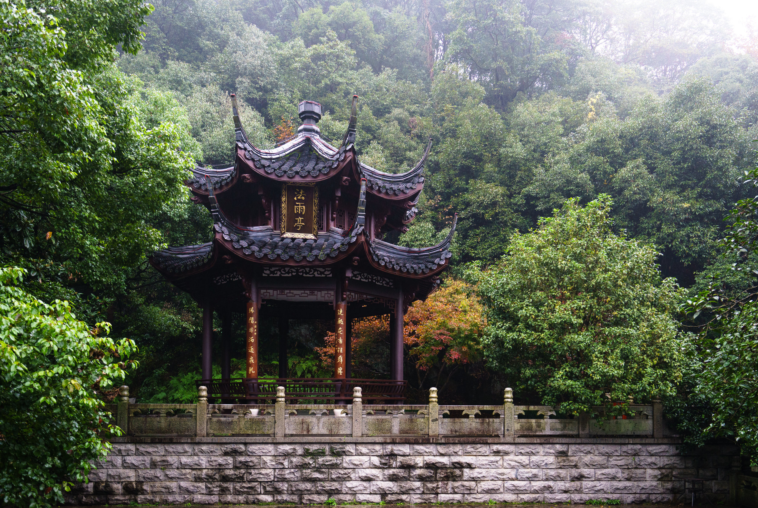 DSC09785.jpg