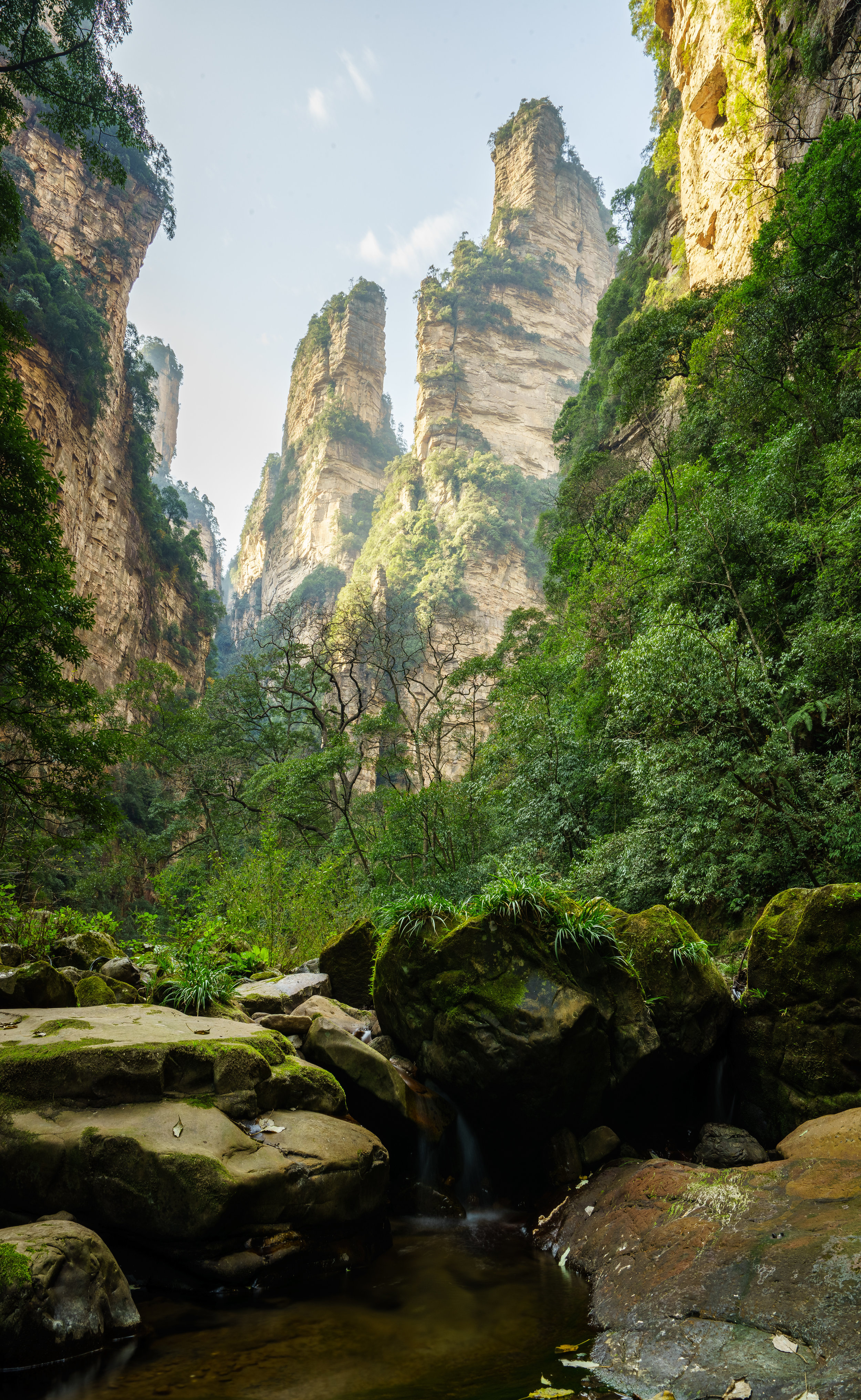 DSC01114-HDR-2.jpg