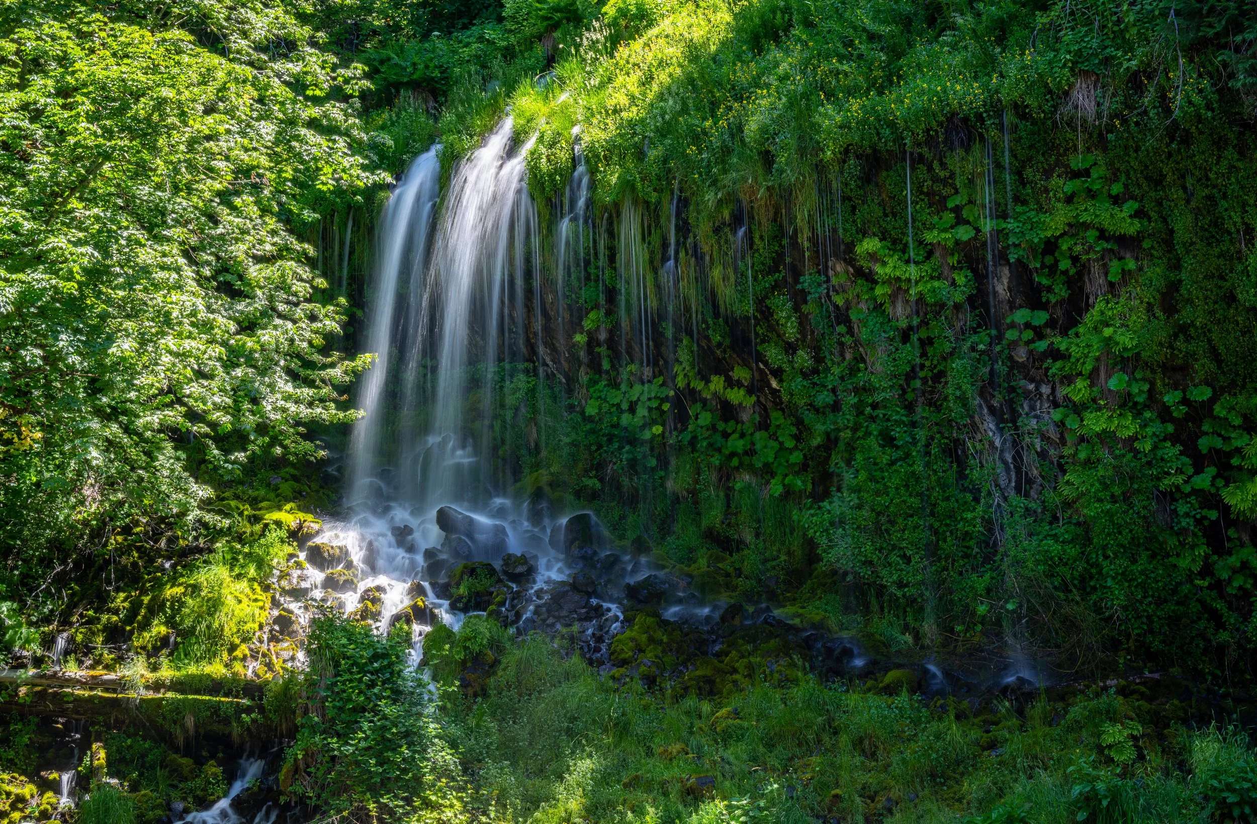 DSC07299-HDR.jpg